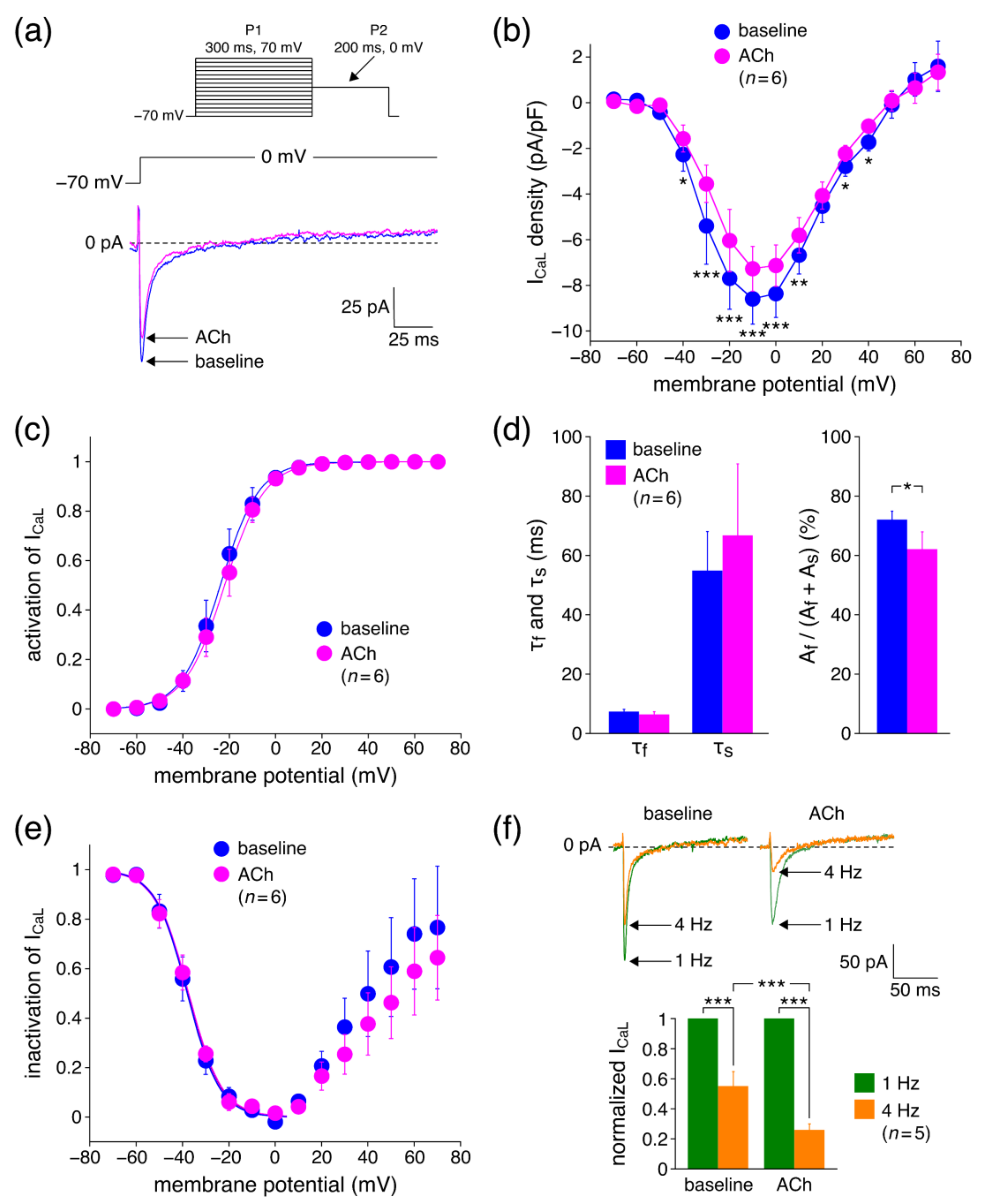 Biomedicines 10 02987 g003 Biomedicines 10 02987 g003