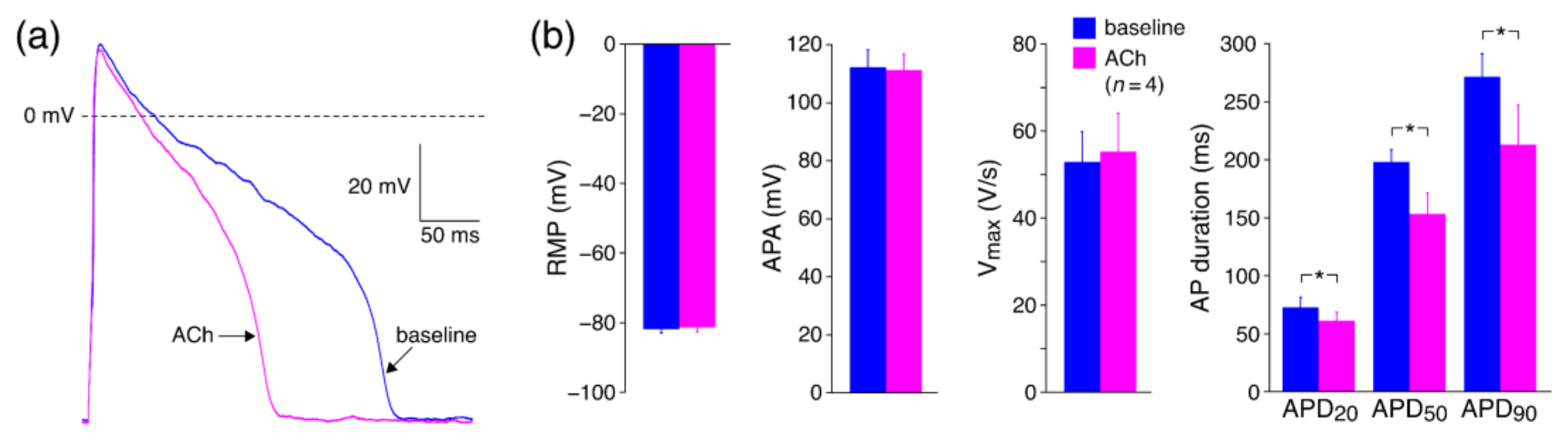 Biomedicines 10 02987 g004 Biomedicines 10 02987 g004