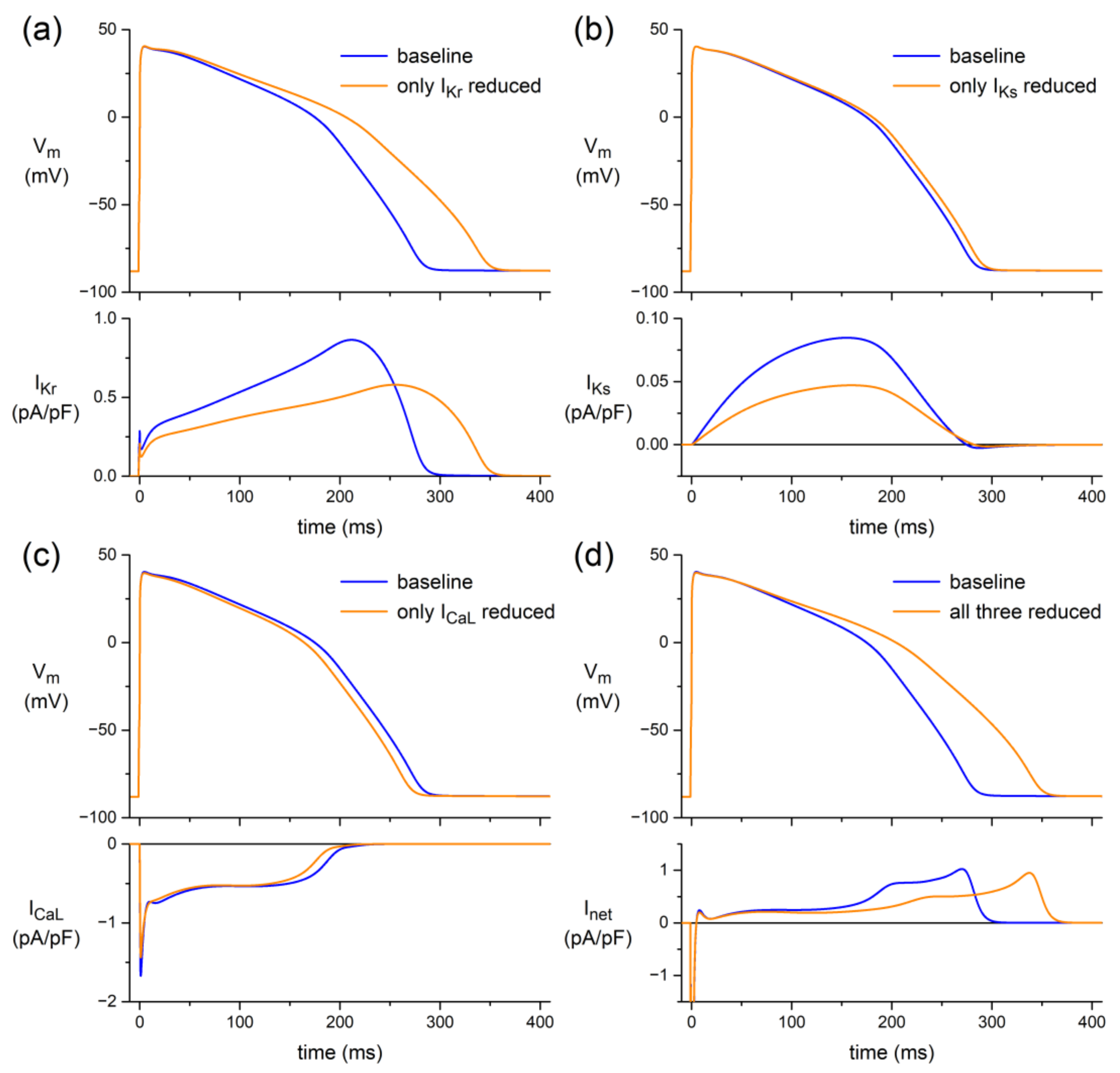 Biomedicines 10 02987 g005 Biomedicines 10 02987 g005