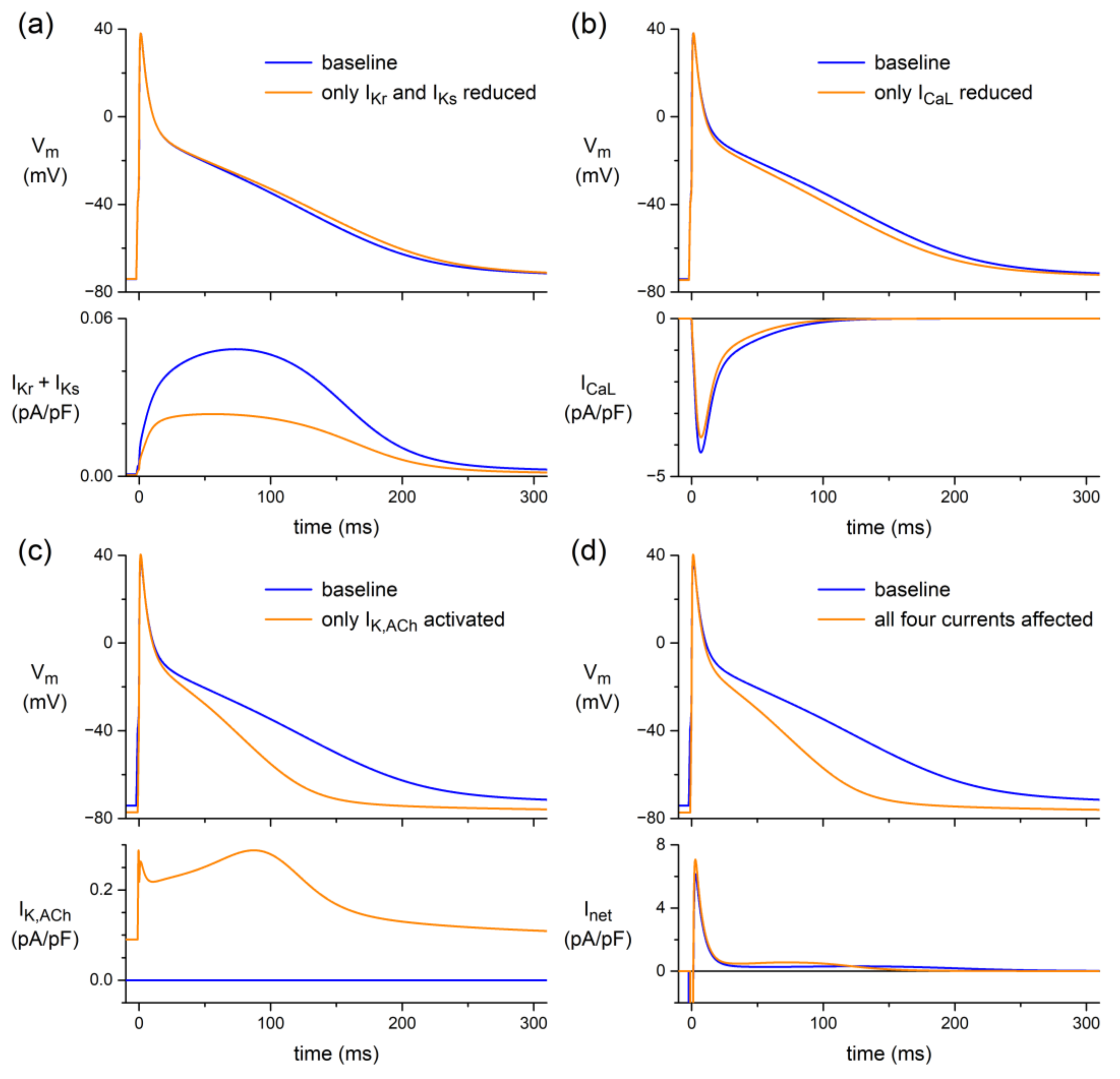 Biomedicines 10 02987 g006 Biomedicines 10 02987 g006