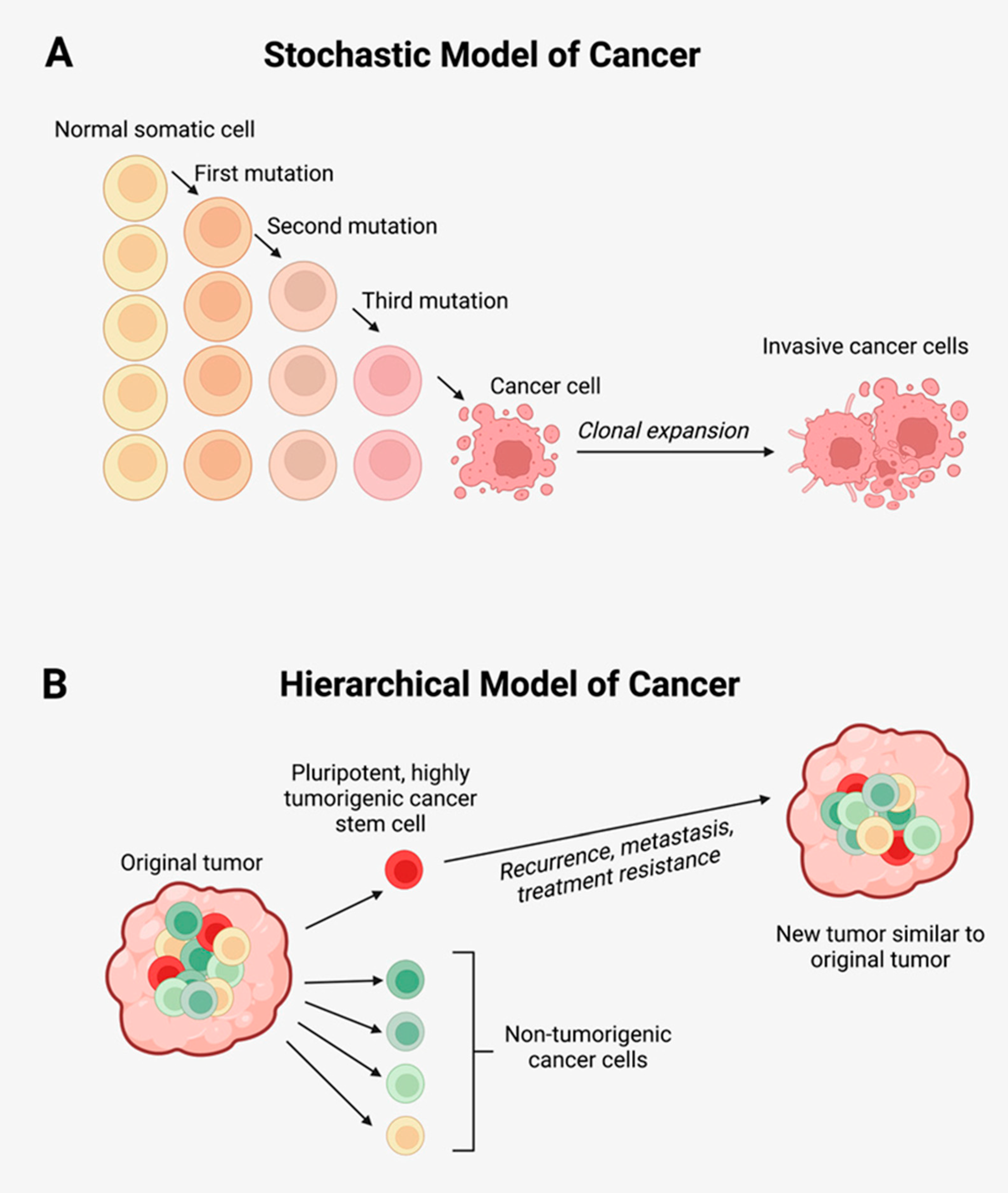 Biomedicines 10 02988 g001