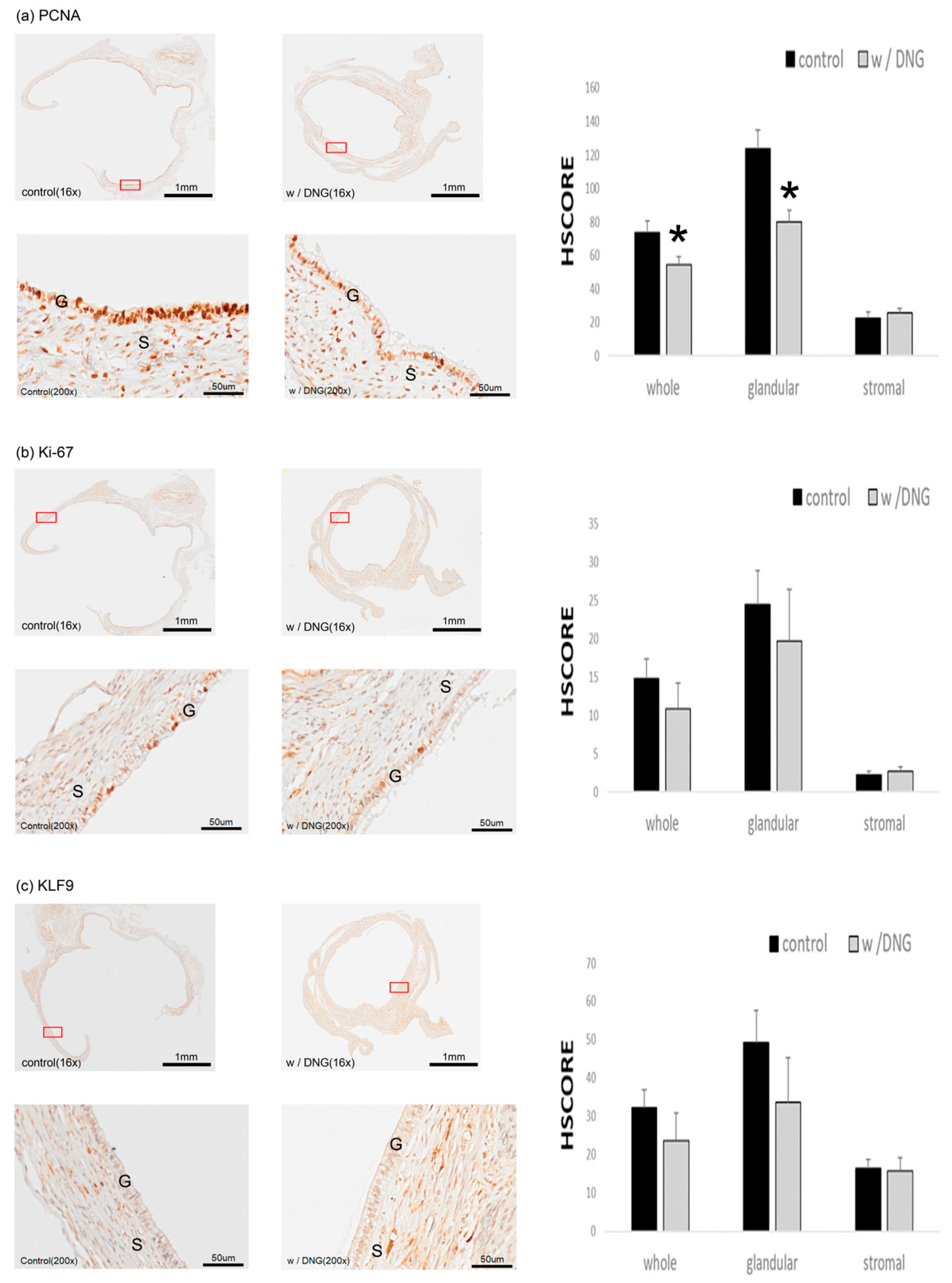 Biomedicines 10 02992 g006a