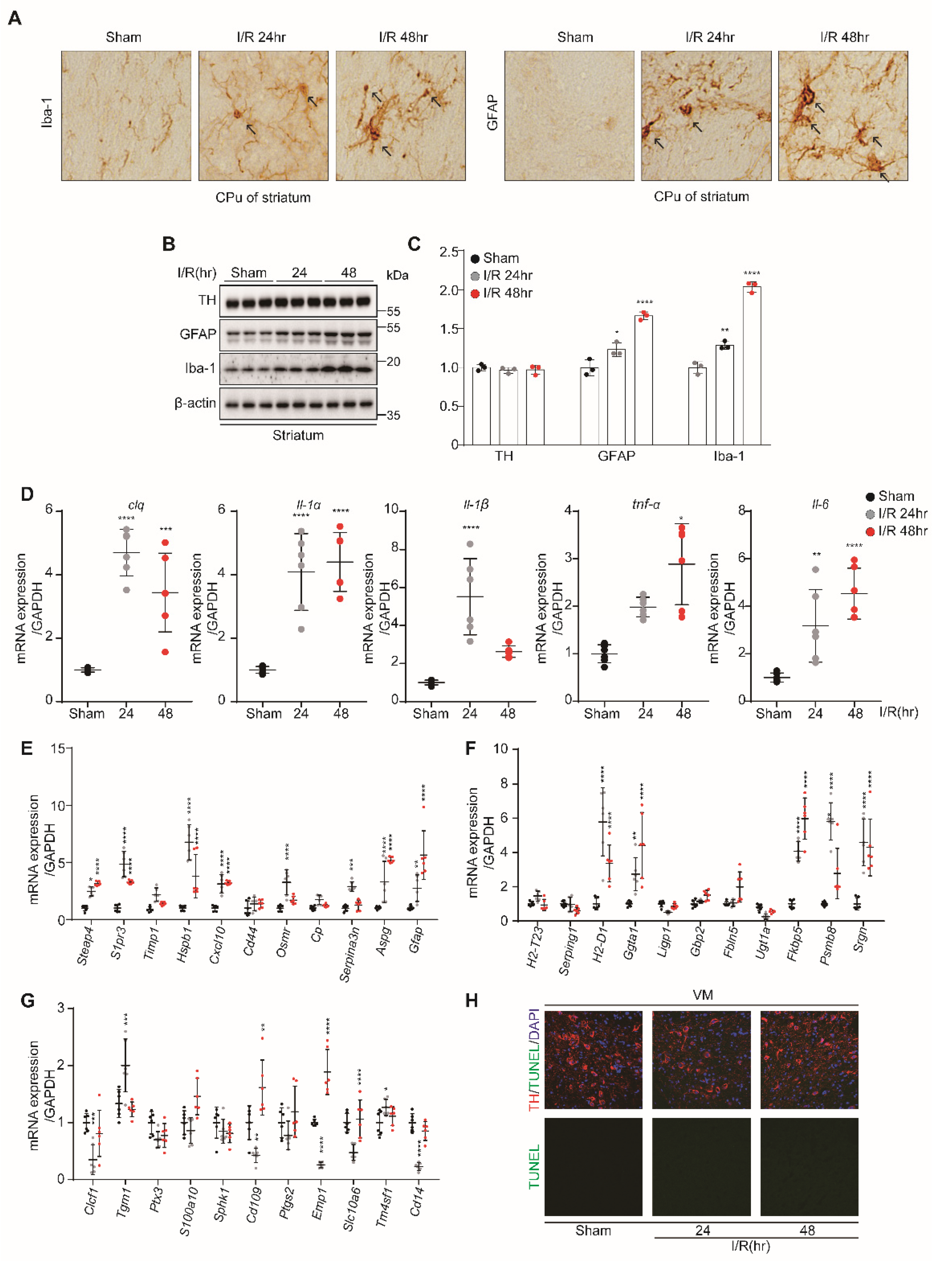 Biomedicines 10 02993 g002