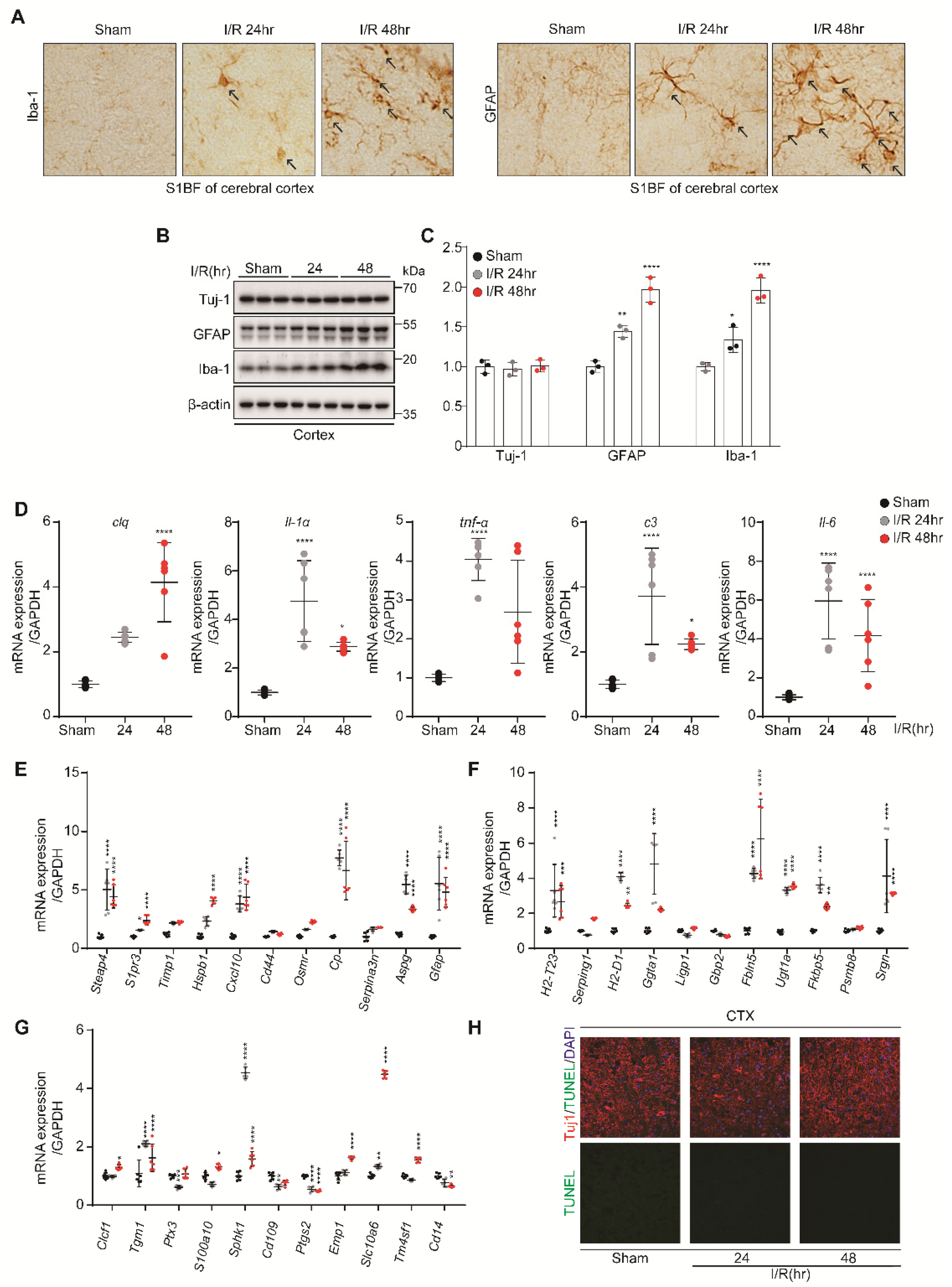 Biomedicines 10 02993 g005