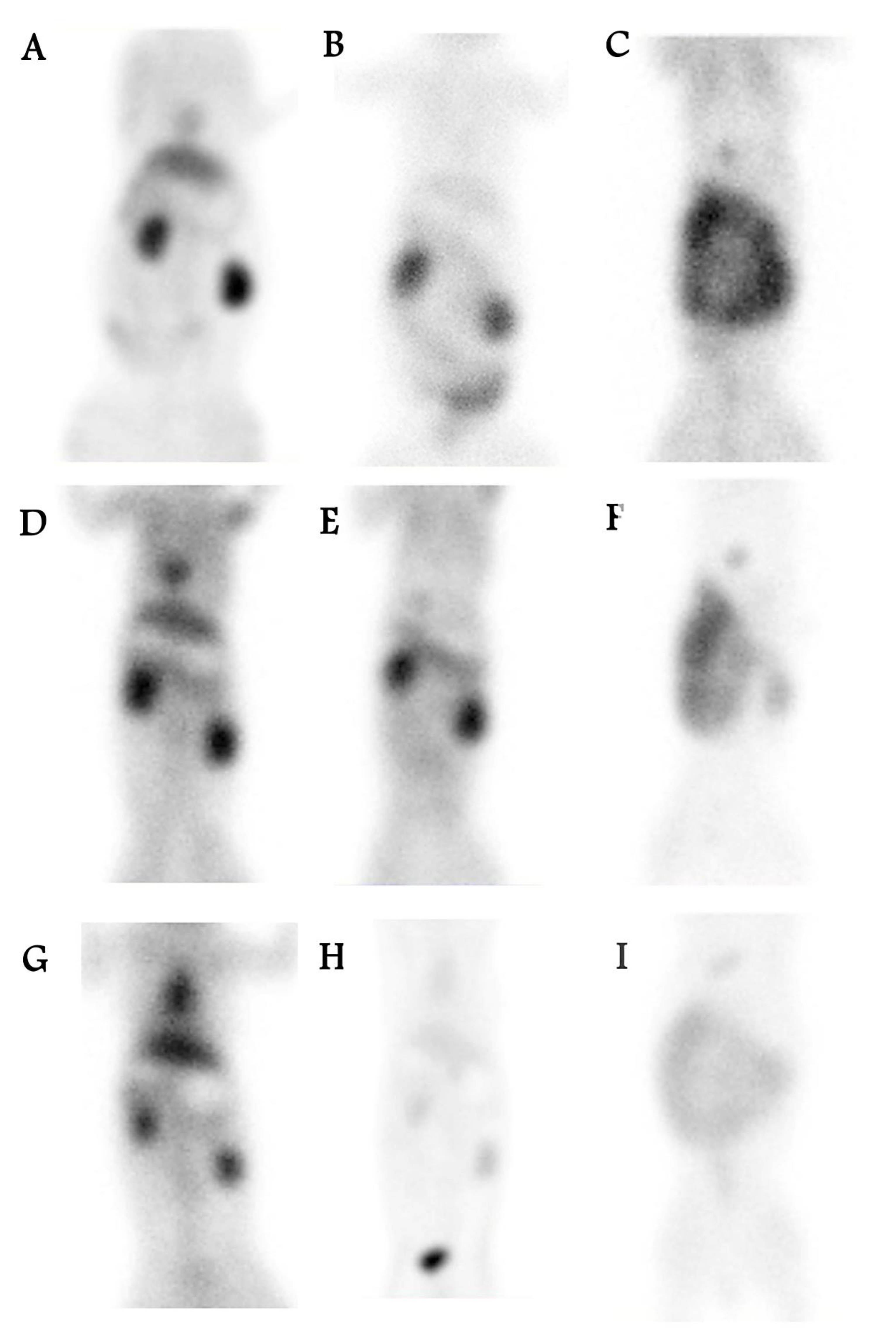 Biomedicines 10 02994 g004