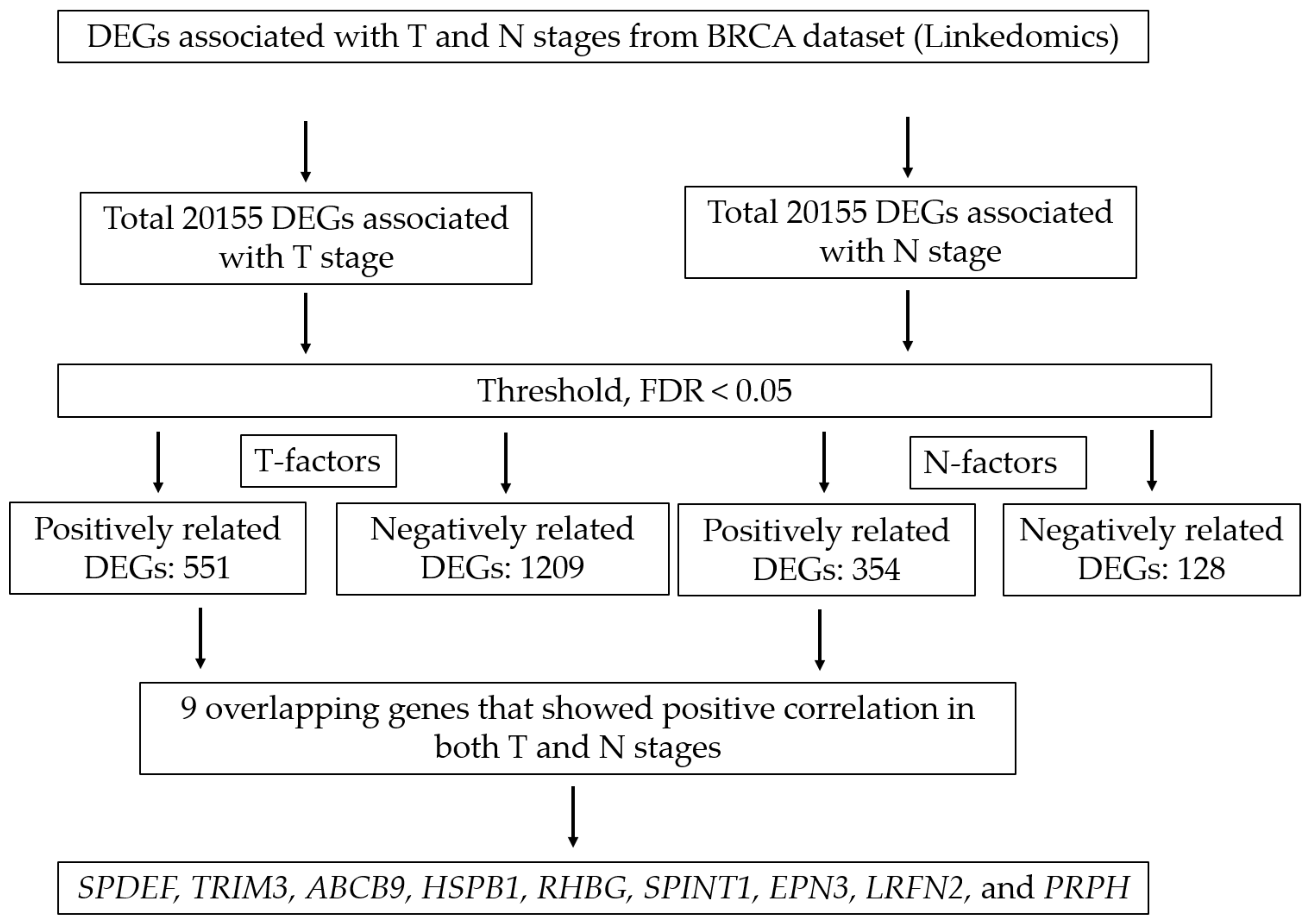 Biomedicines 10 02995 g001 Biomedicines 10 02995 g001