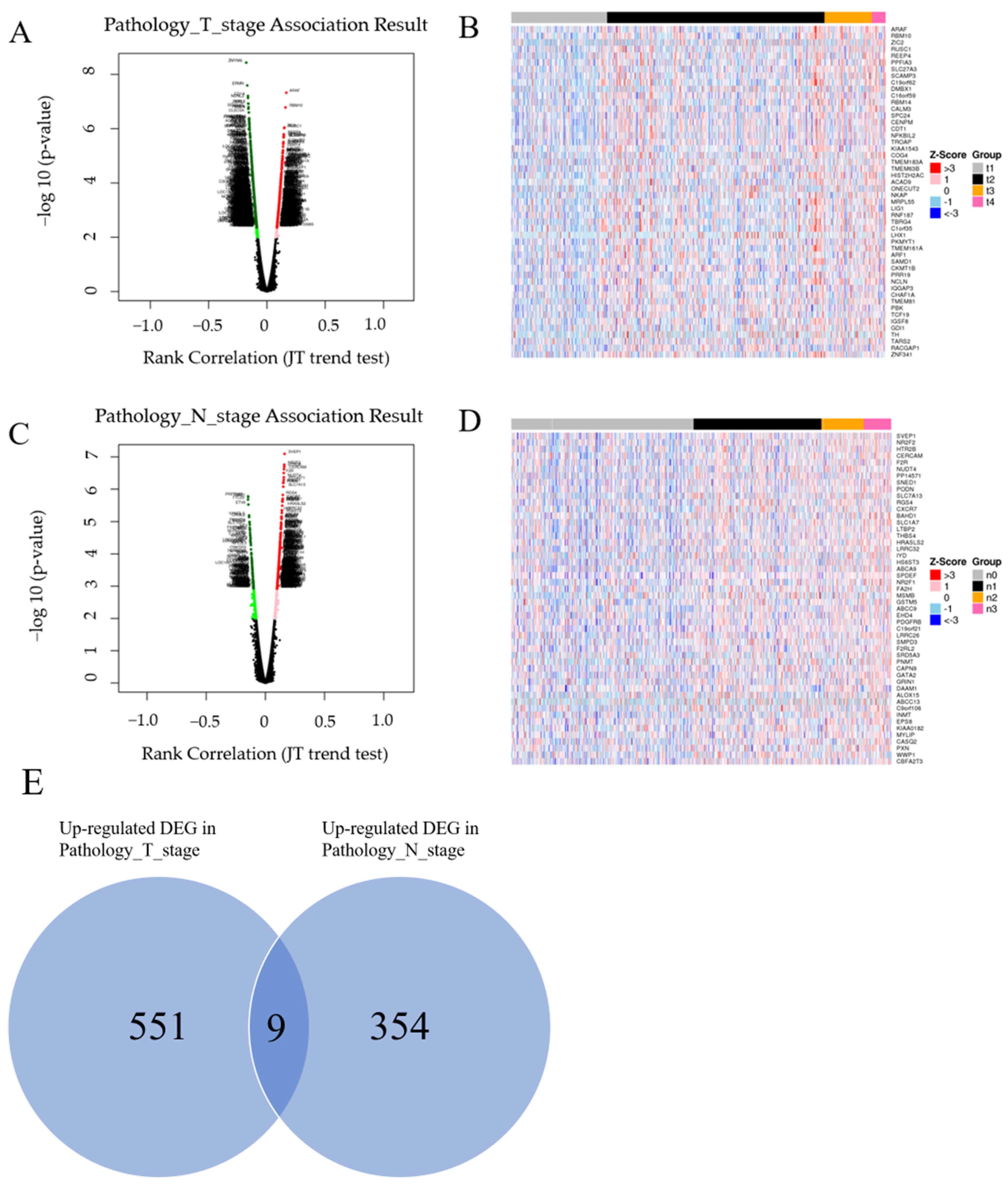 Biomedicines 10 02995 g002 Biomedicines 10 02995 g002