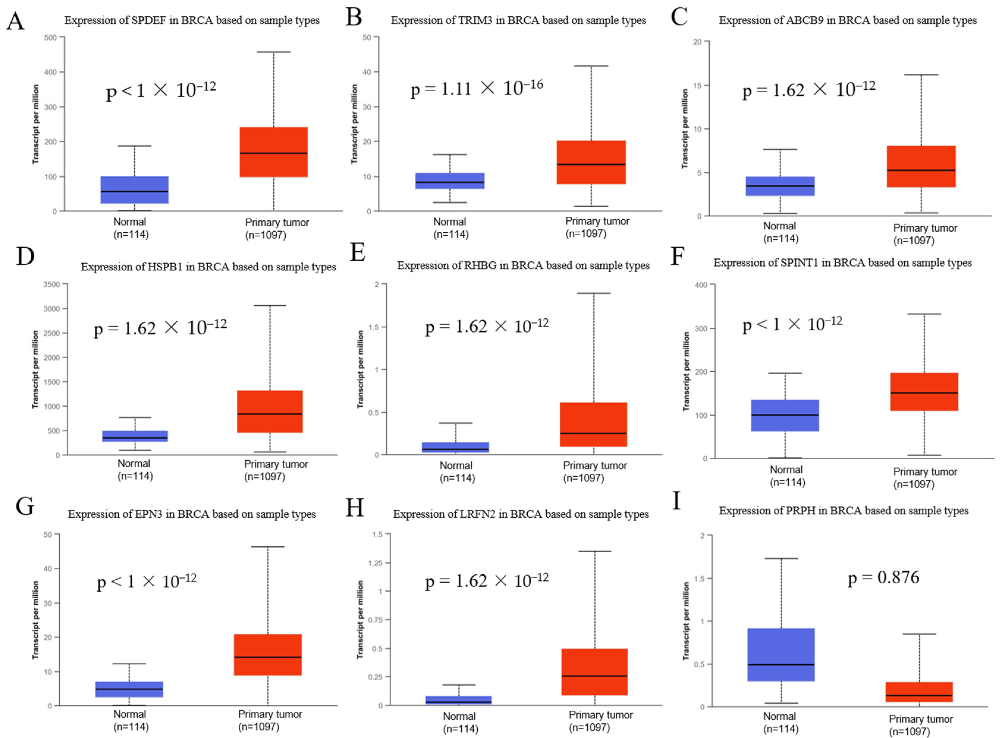 Biomedicines 10 02995 g004 Biomedicines 10 02995 g004