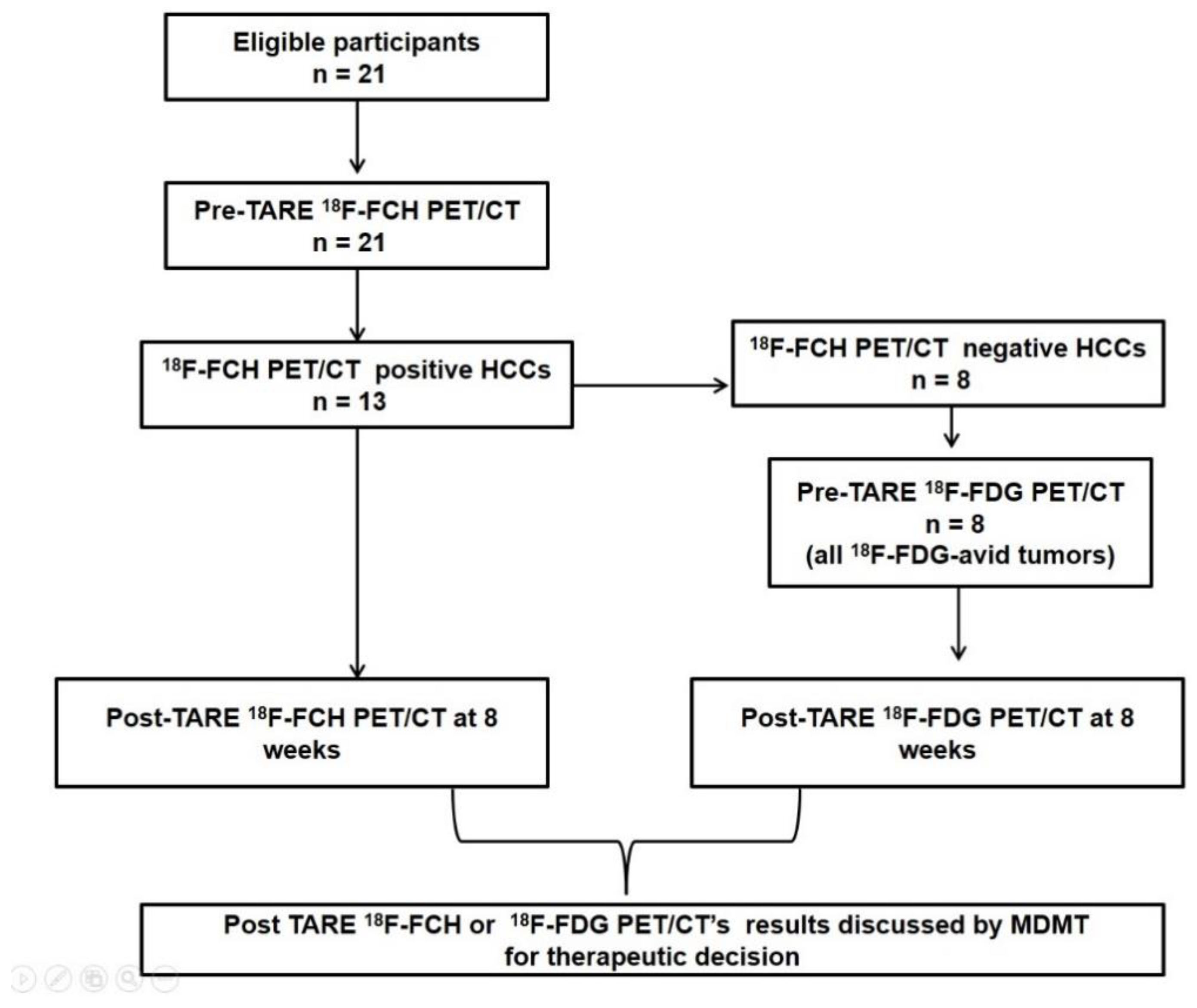 Biomedicines 10 02996 g001