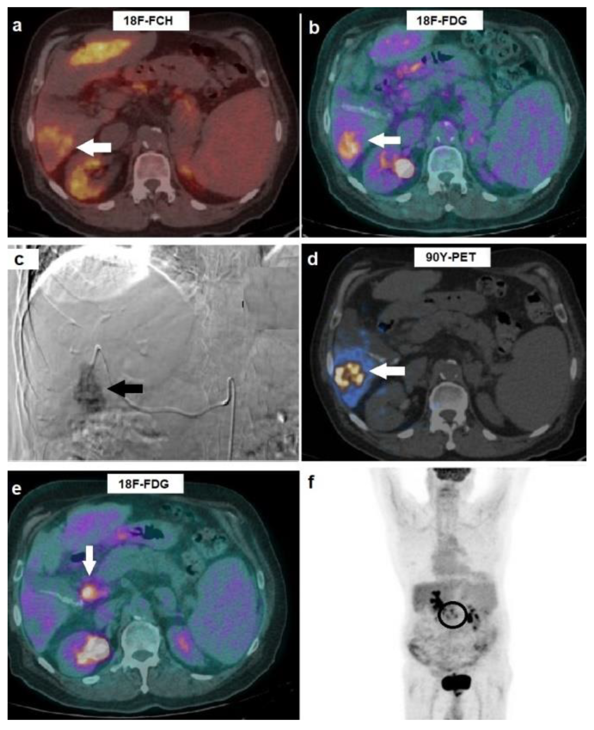 Biomedicines 10 02996 g002