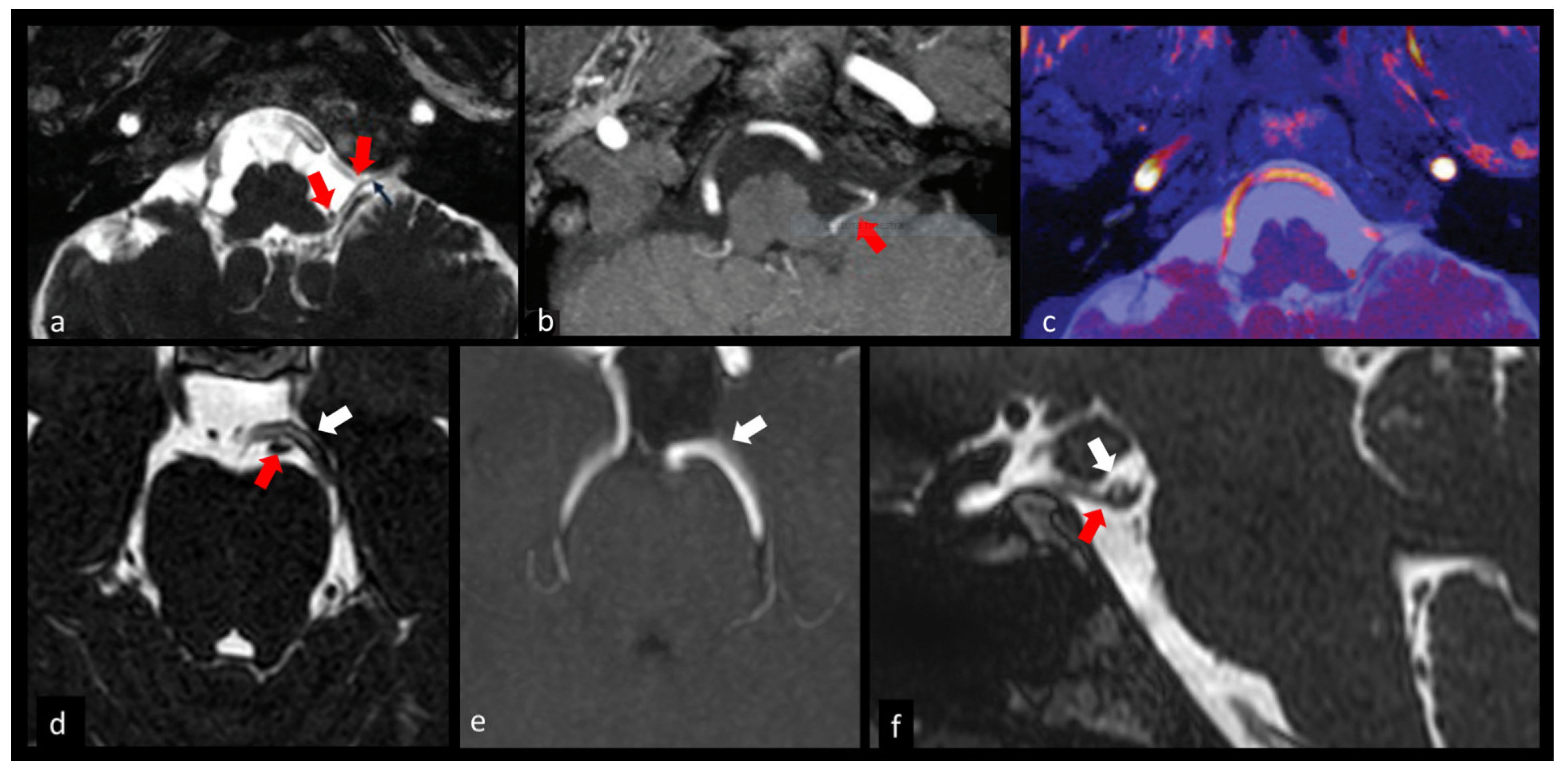 Biomedicines 10 02997 g003 Biomedicines 10 02997 g003