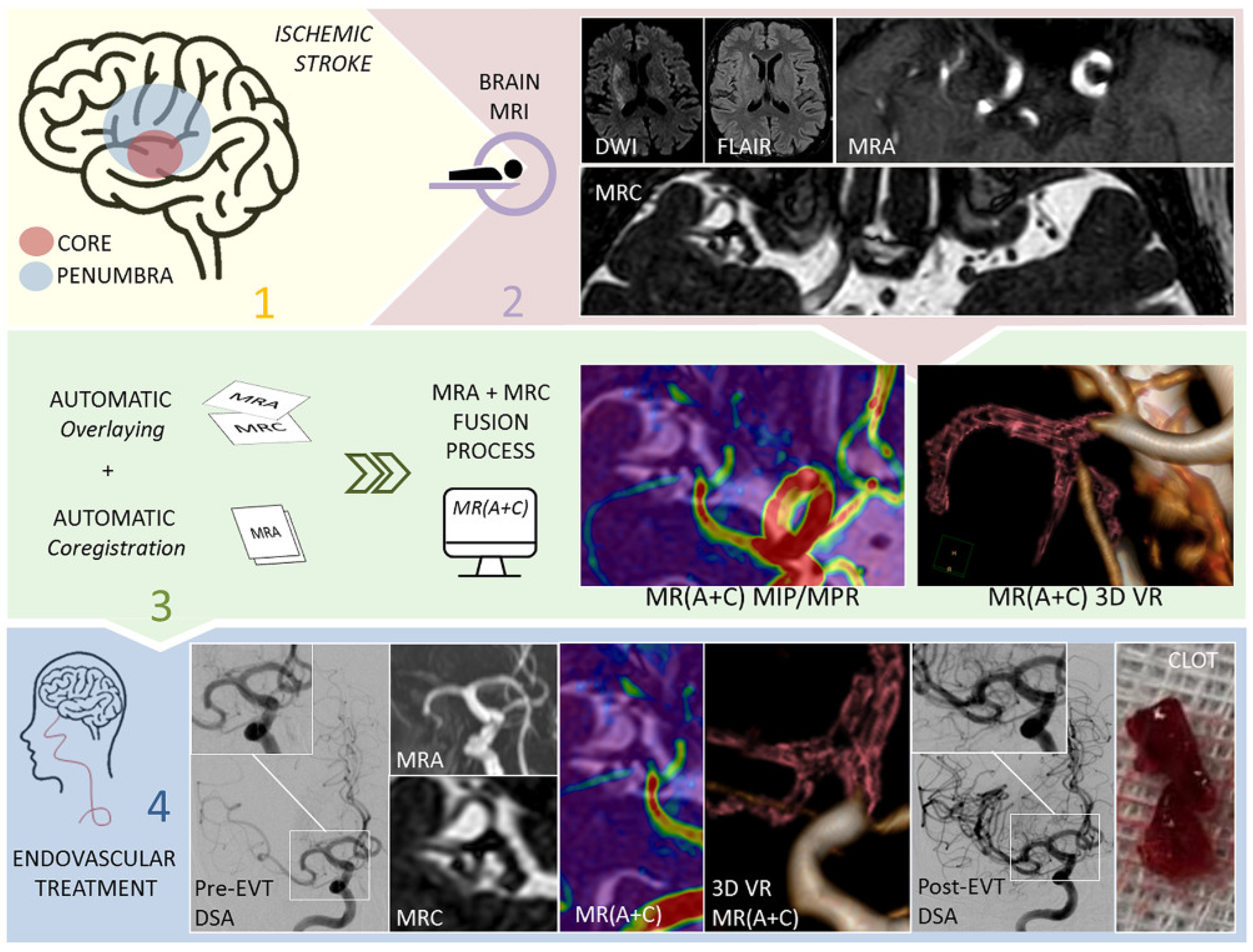 Biomedicines 10 02997 g006 Biomedicines 10 02997 g006