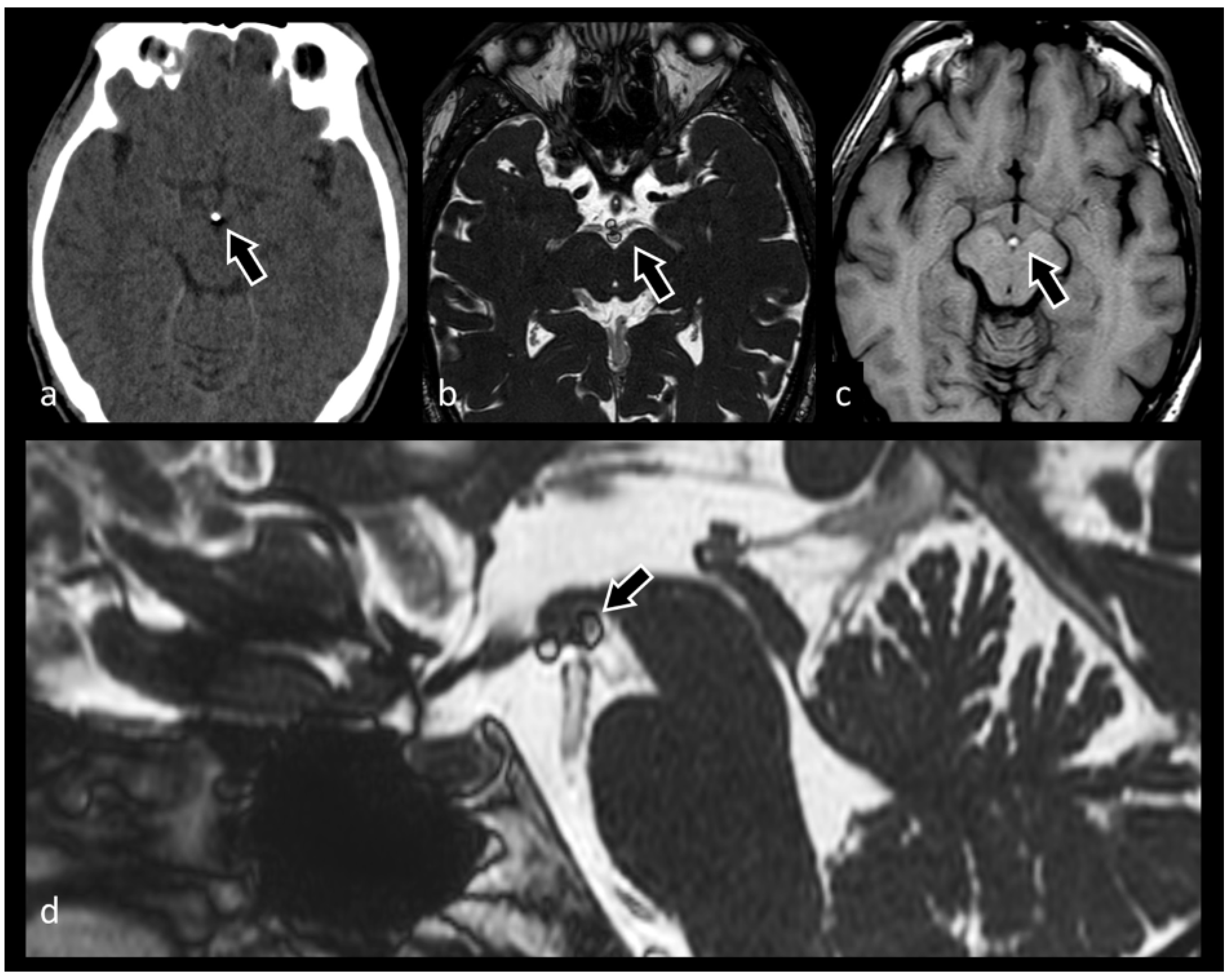 Biomedicines 10 02997 g009 Biomedicines 10 02997 g009