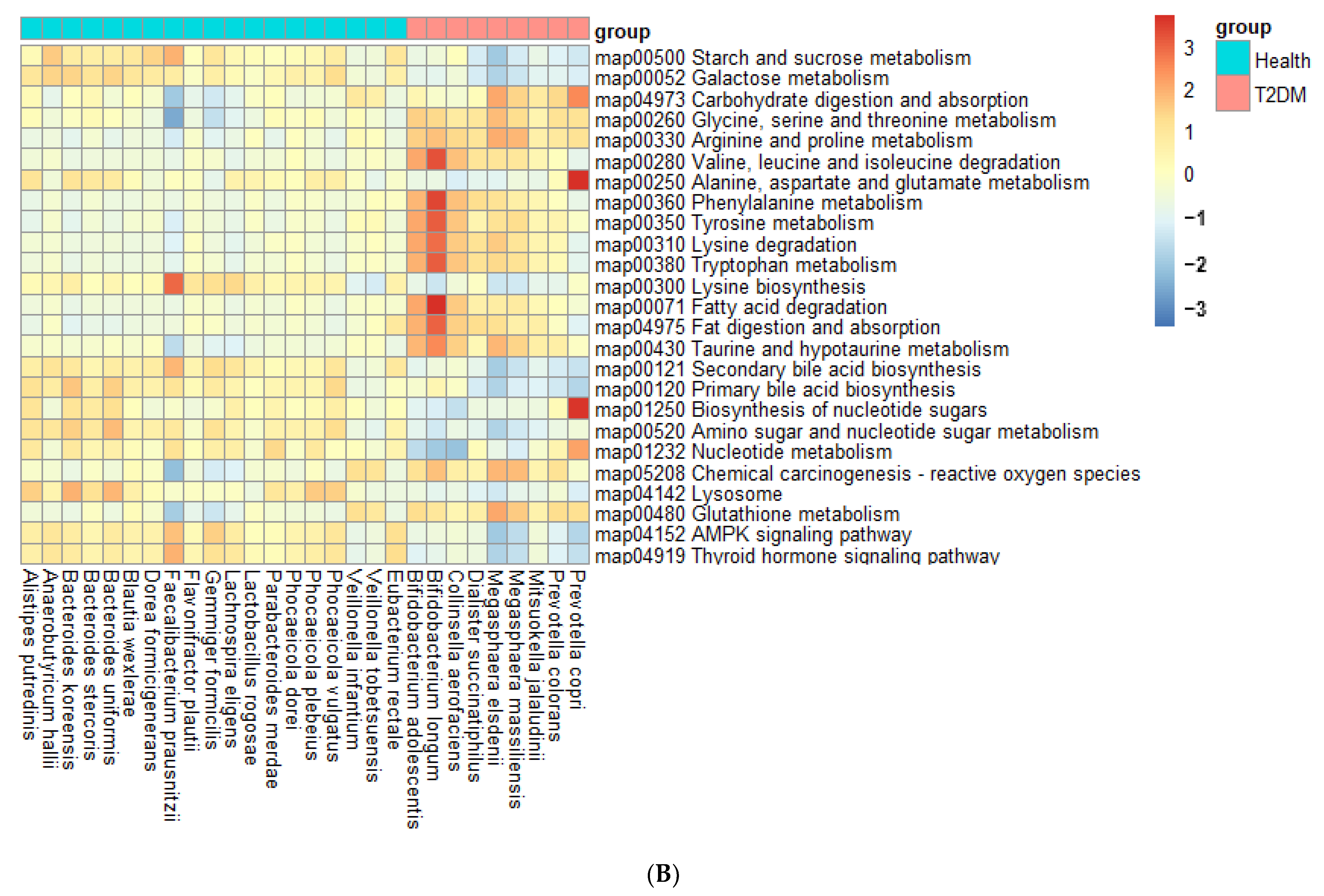 Biomedicines 10 02998 g006b Biomedicines 10 02998 g006b