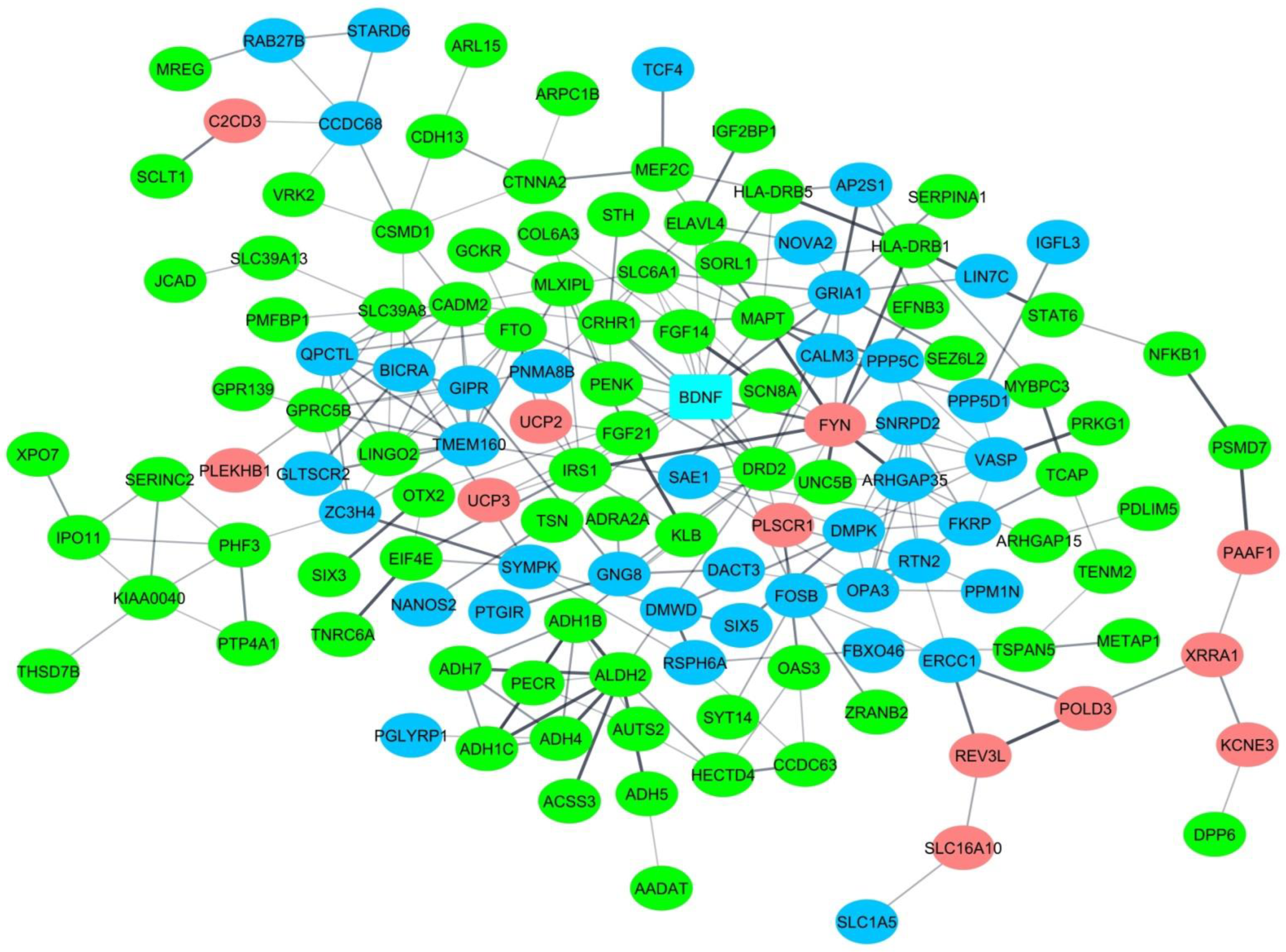 Biomedicines 10 03007 g004 Biomedicines 10 03007 g004