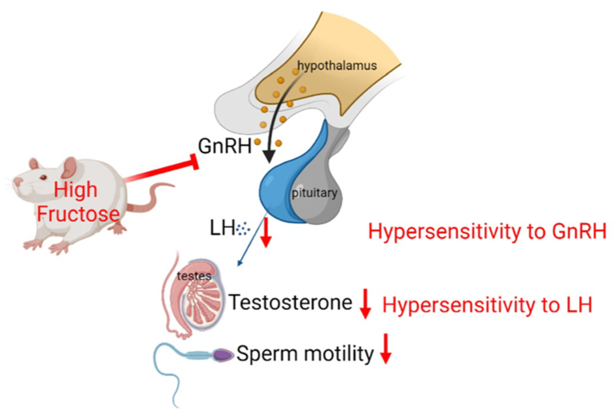 Biomedicines 10 03009 g008