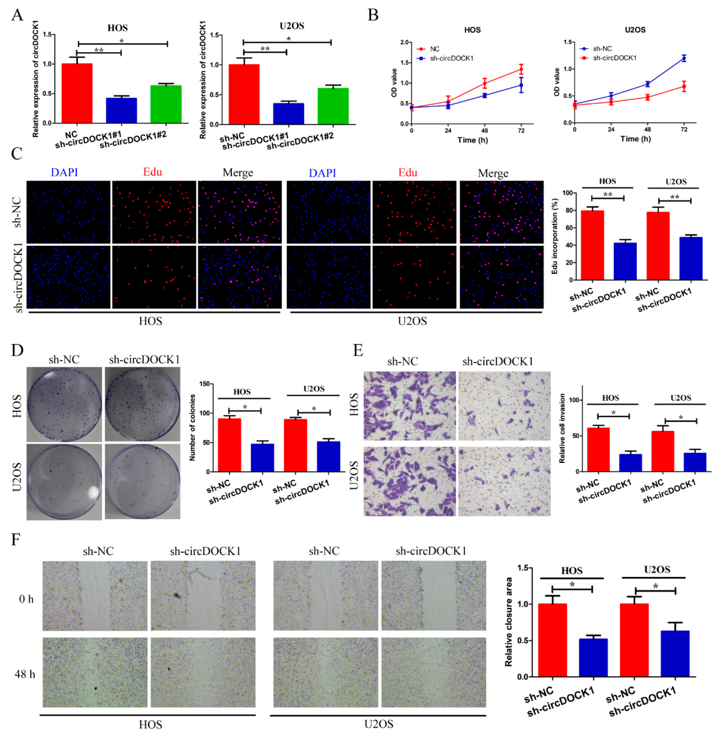 Biomedicines 10 03013 g002 Biomedicines 10 03013 g002