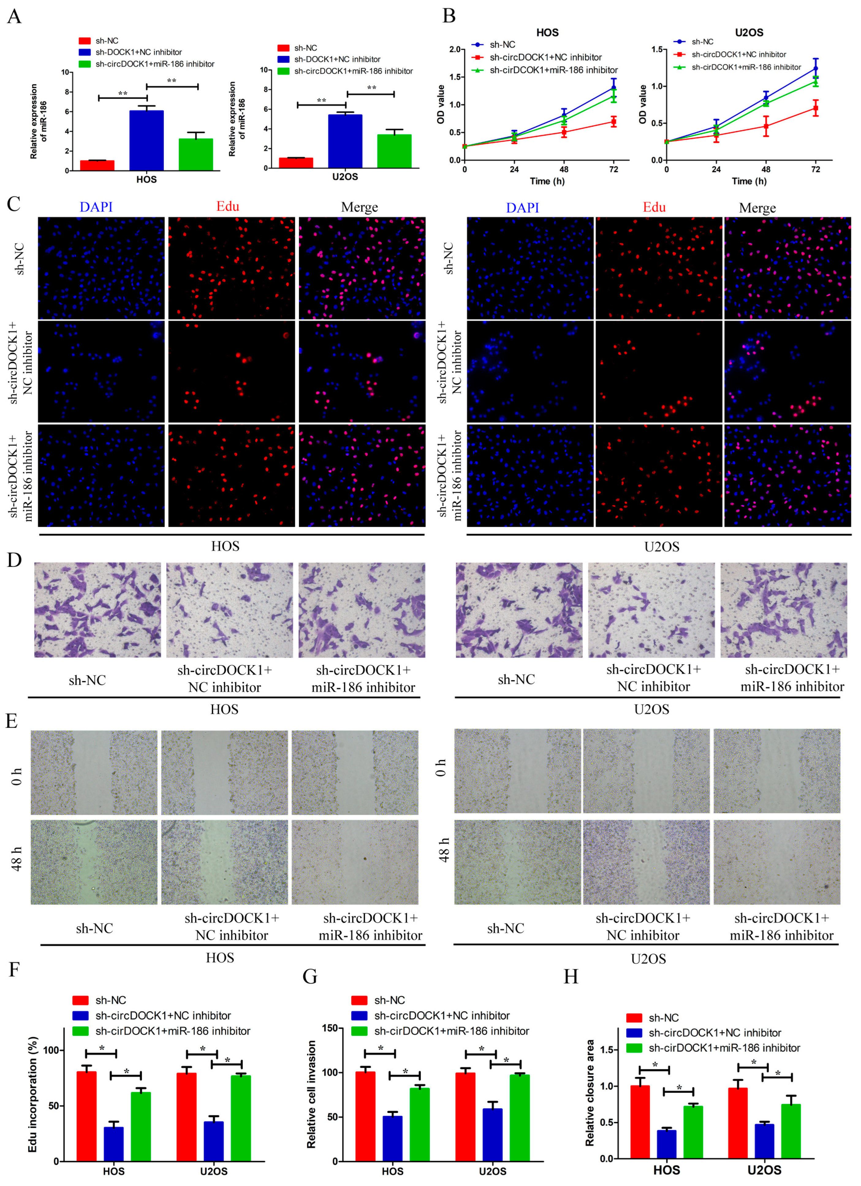 Biomedicines 10 03013 g004 Biomedicines 10 03013 g004