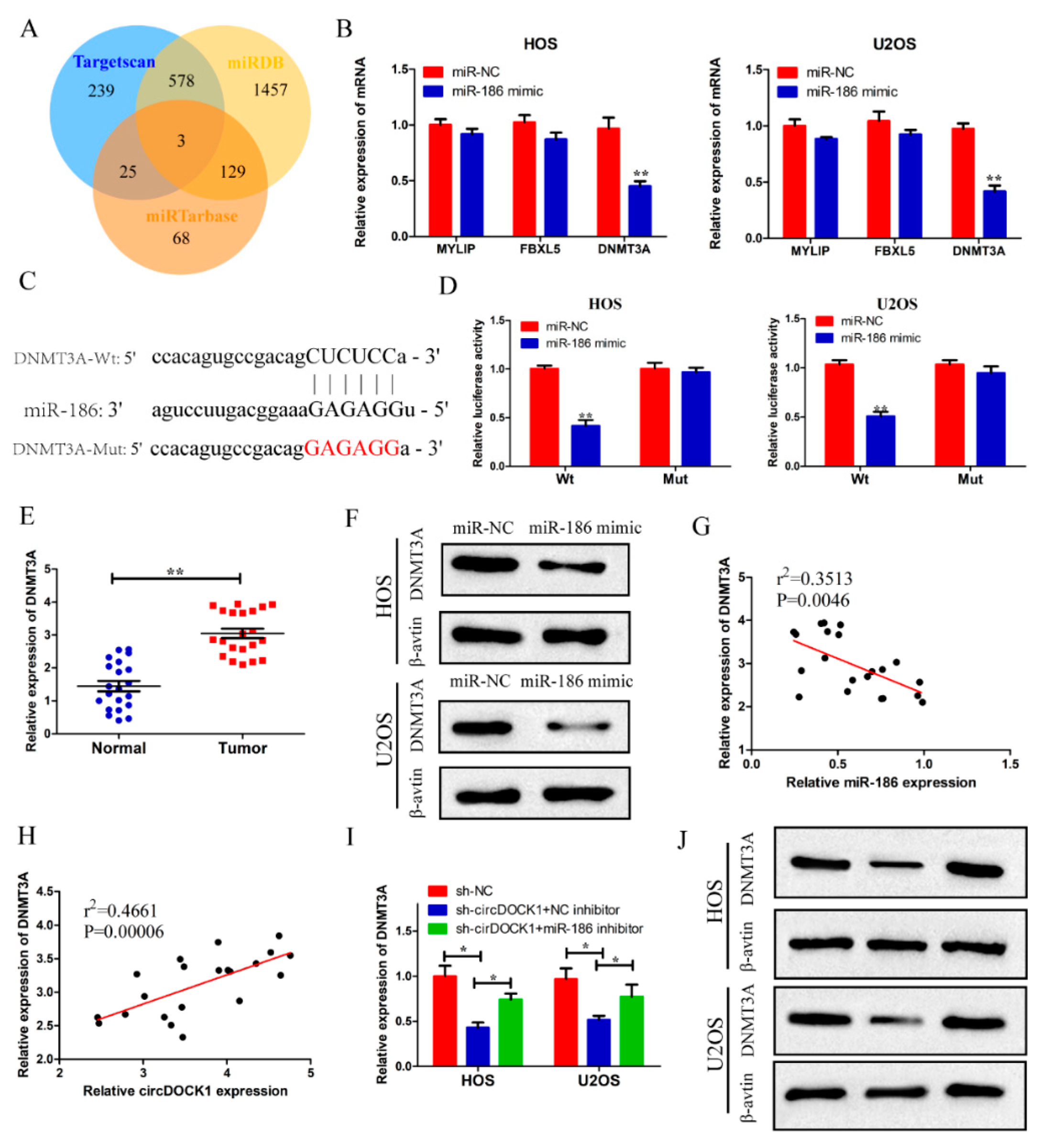 Biomedicines 10 03013 g005 Biomedicines 10 03013 g005