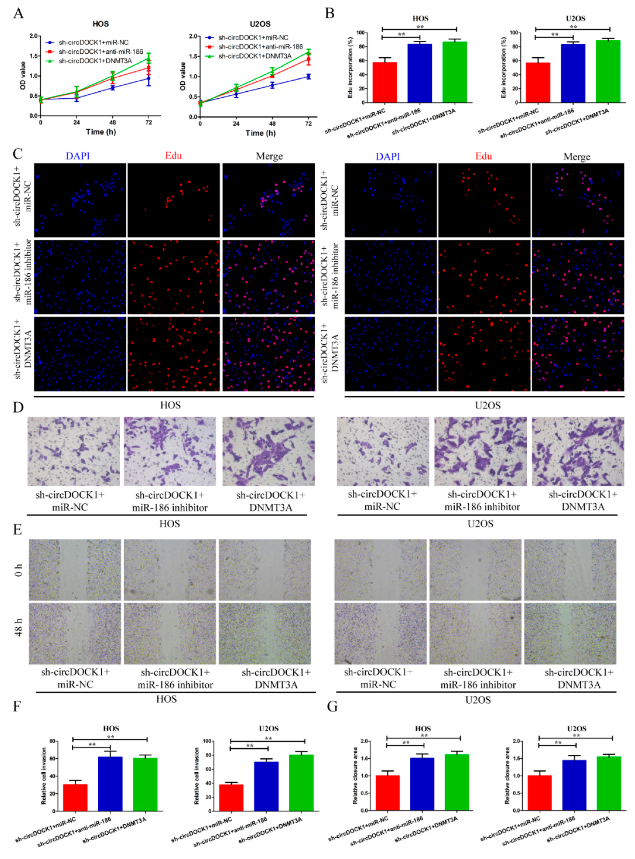 Biomedicines 10 03013 g006 Biomedicines 10 03013 g006