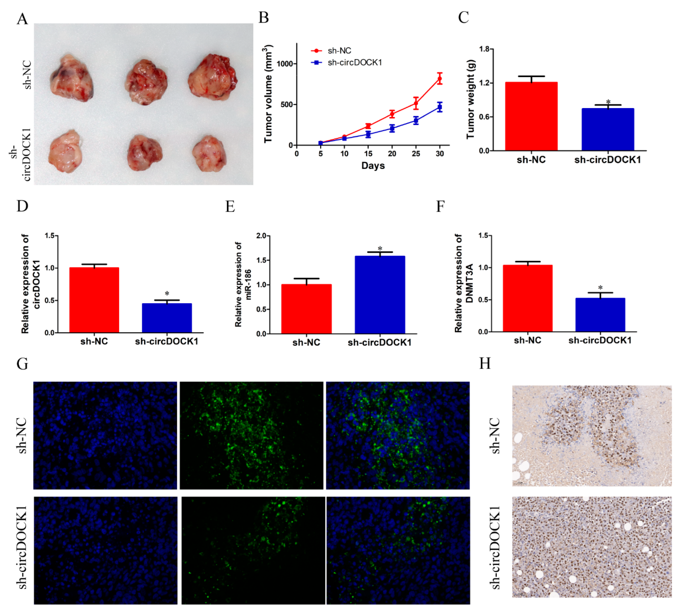 Biomedicines 10 03013 g007 Biomedicines 10 03013 g007