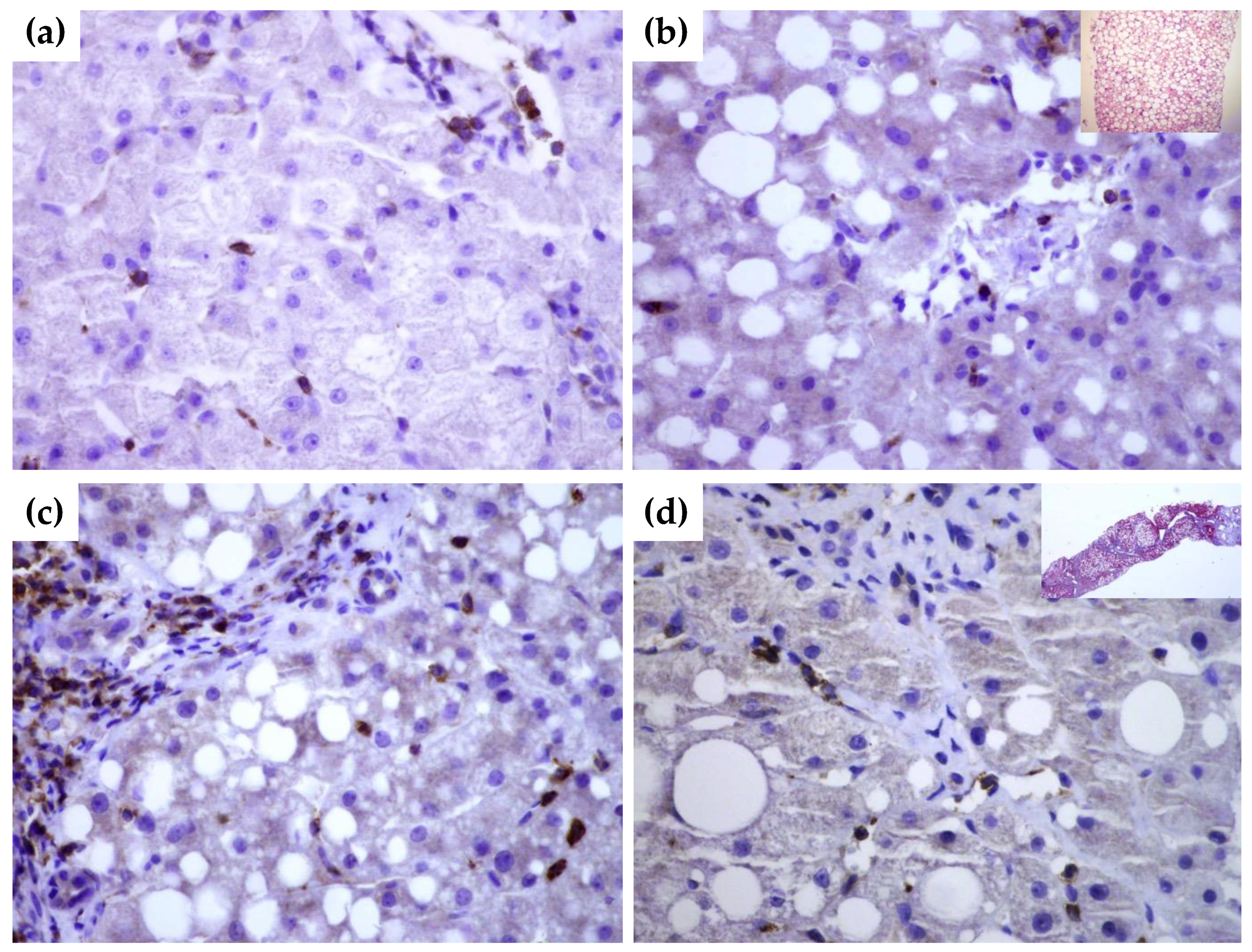 Biomedicines 10 03014 g004