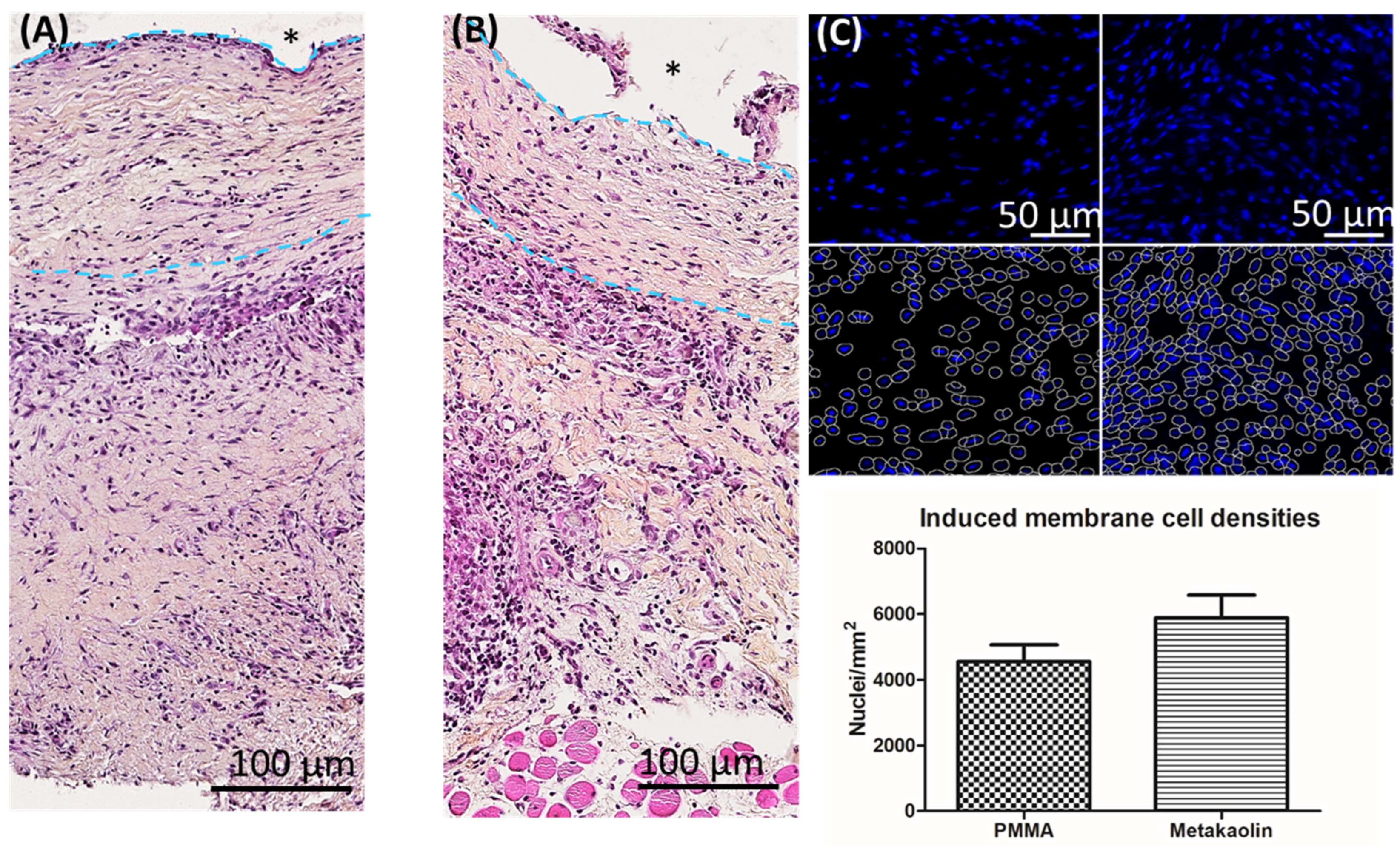 Biomedicines 10 03017 g002 Biomedicines 10 03017 g002