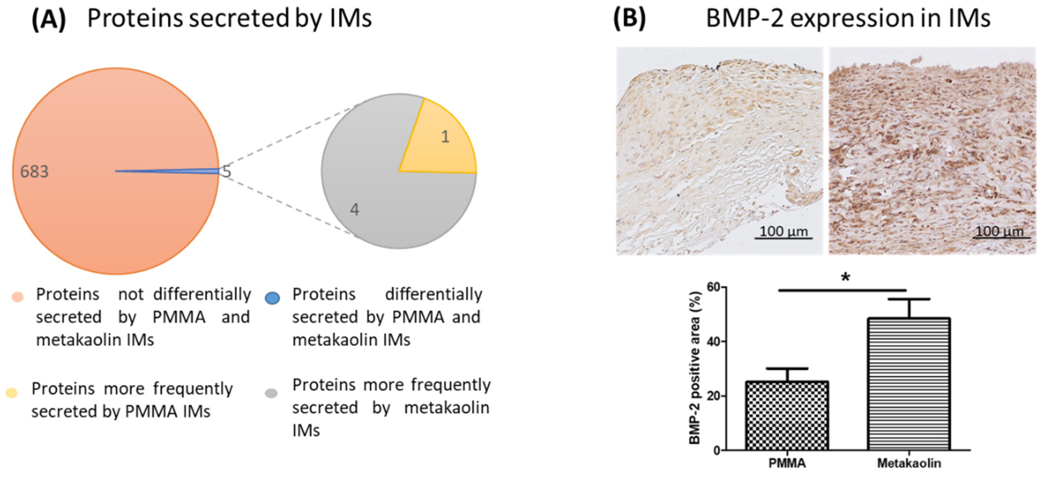 Biomedicines 10 03017 g004 Biomedicines 10 03017 g004