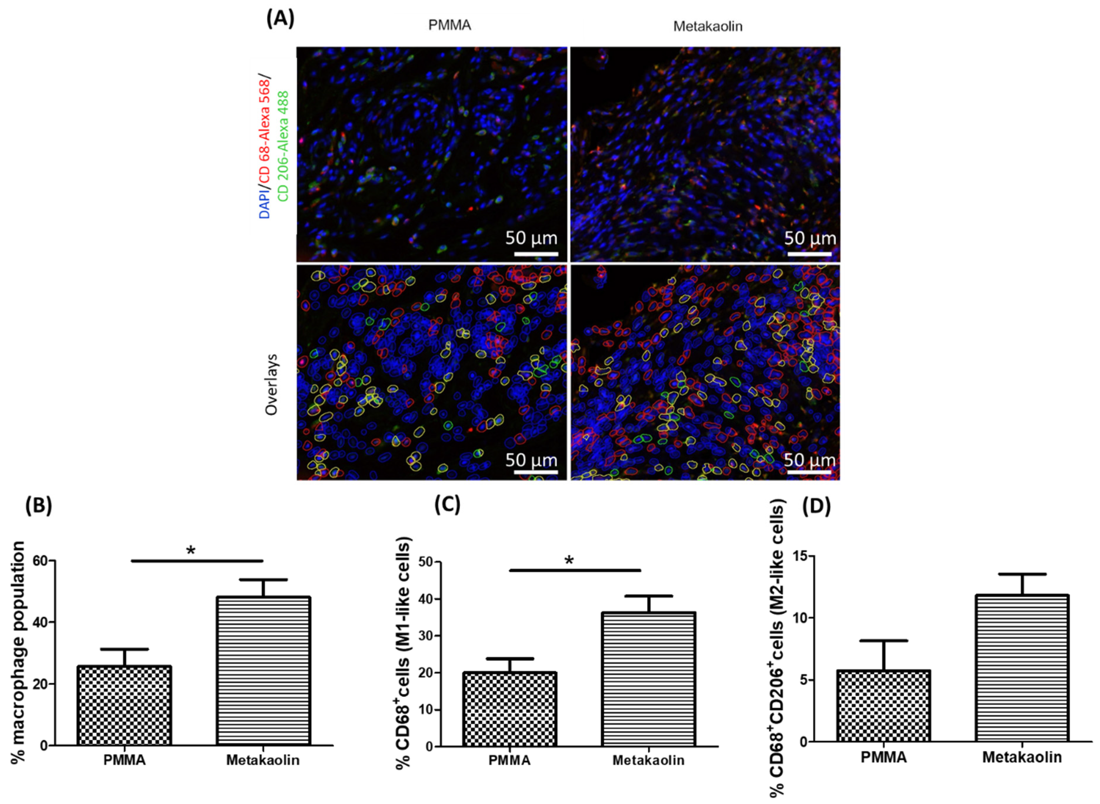 Biomedicines 10 03017 g005 Biomedicines 10 03017 g005