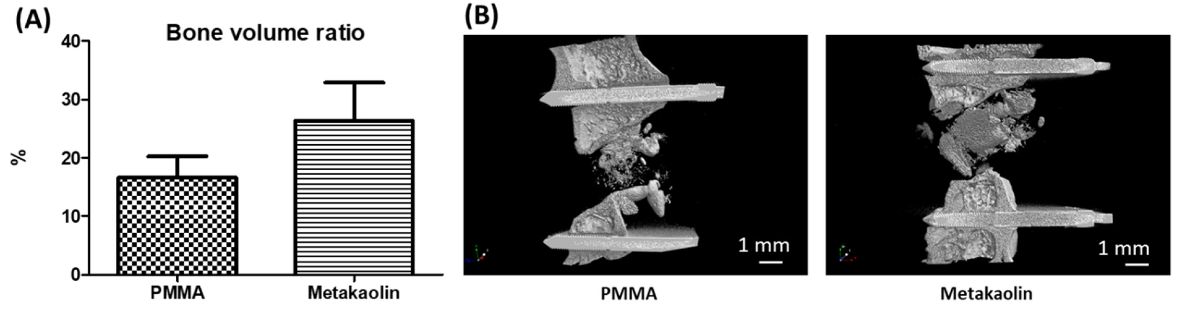 Biomedicines 10 03017 g006 Biomedicines 10 03017 g006