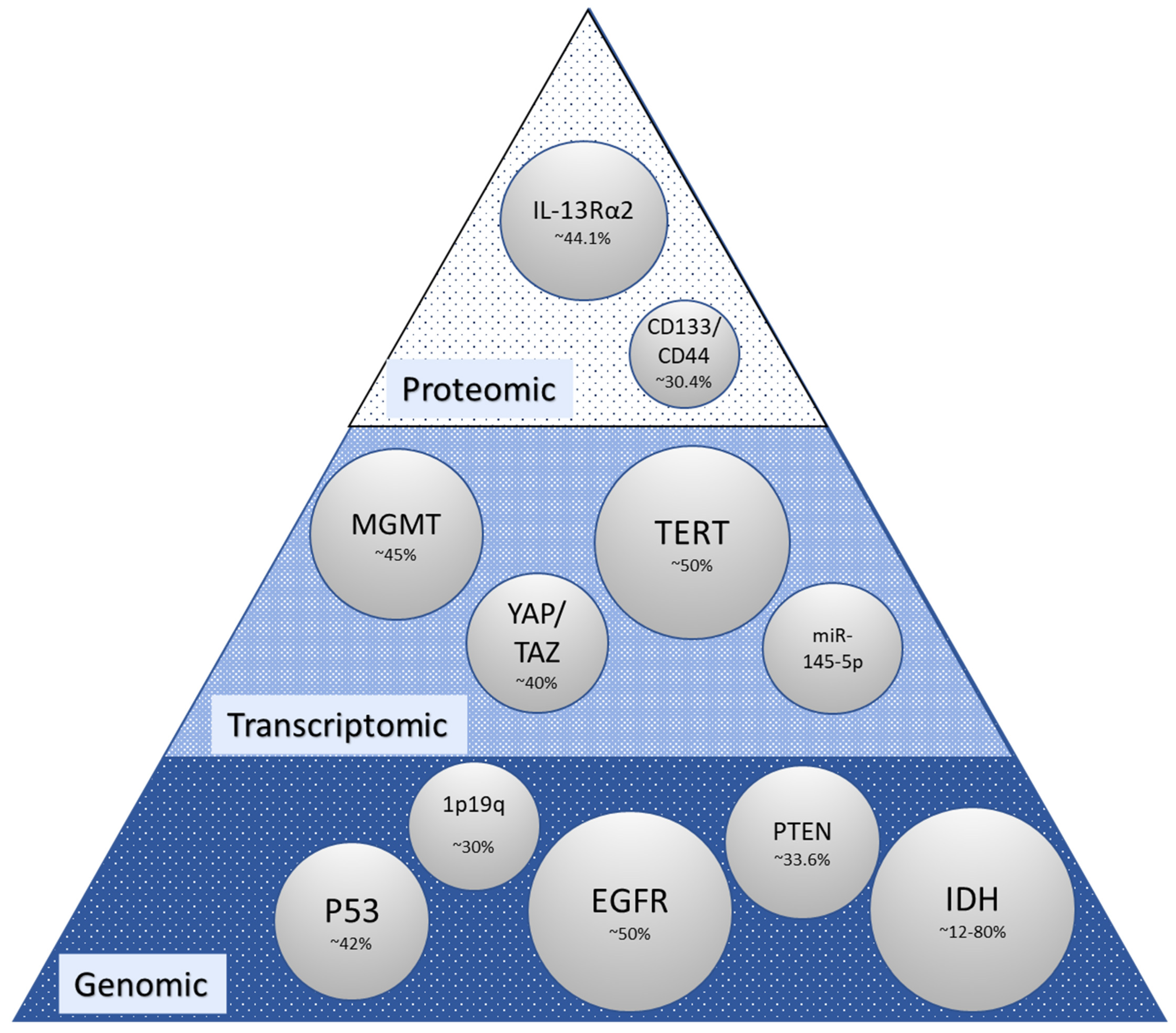 Biomedicines 10 03029 g001