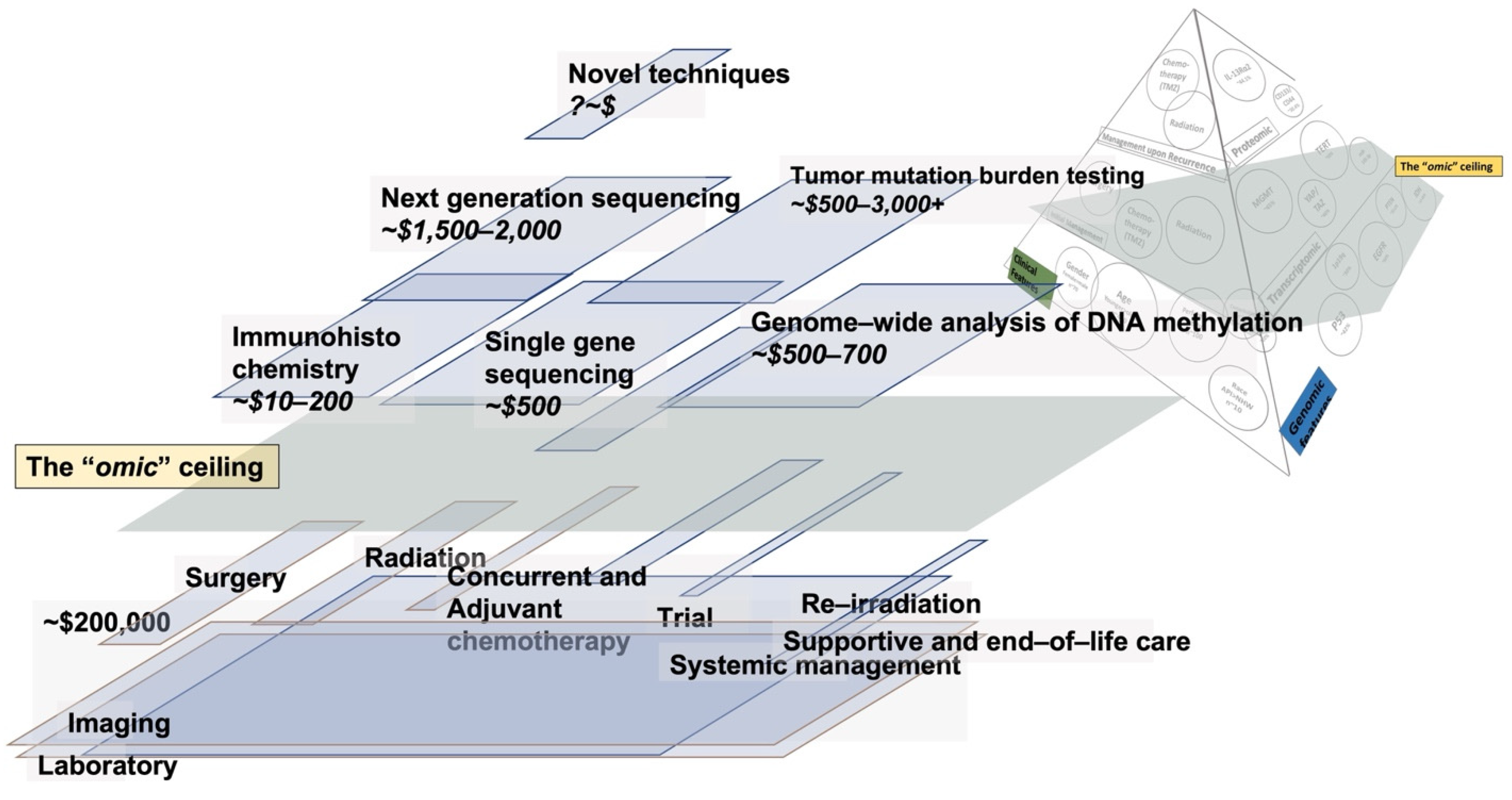 Biomedicines 10 03029 g003