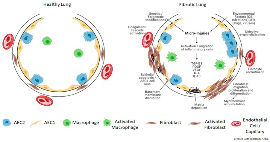 Biomedicines 10 03030 g001 Biomedicines 10 03030 g001