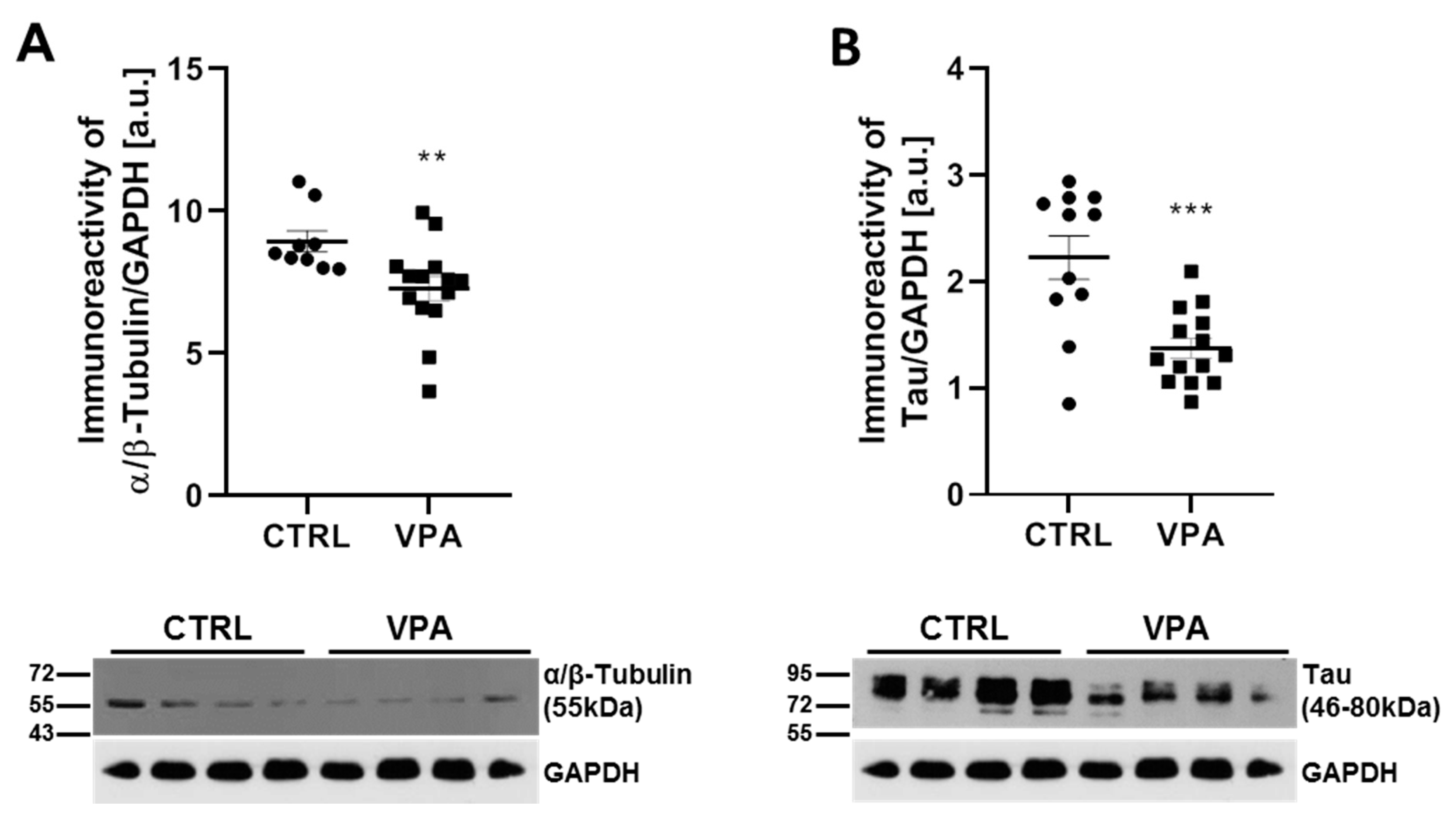 Biomedicines 10 03031 g001