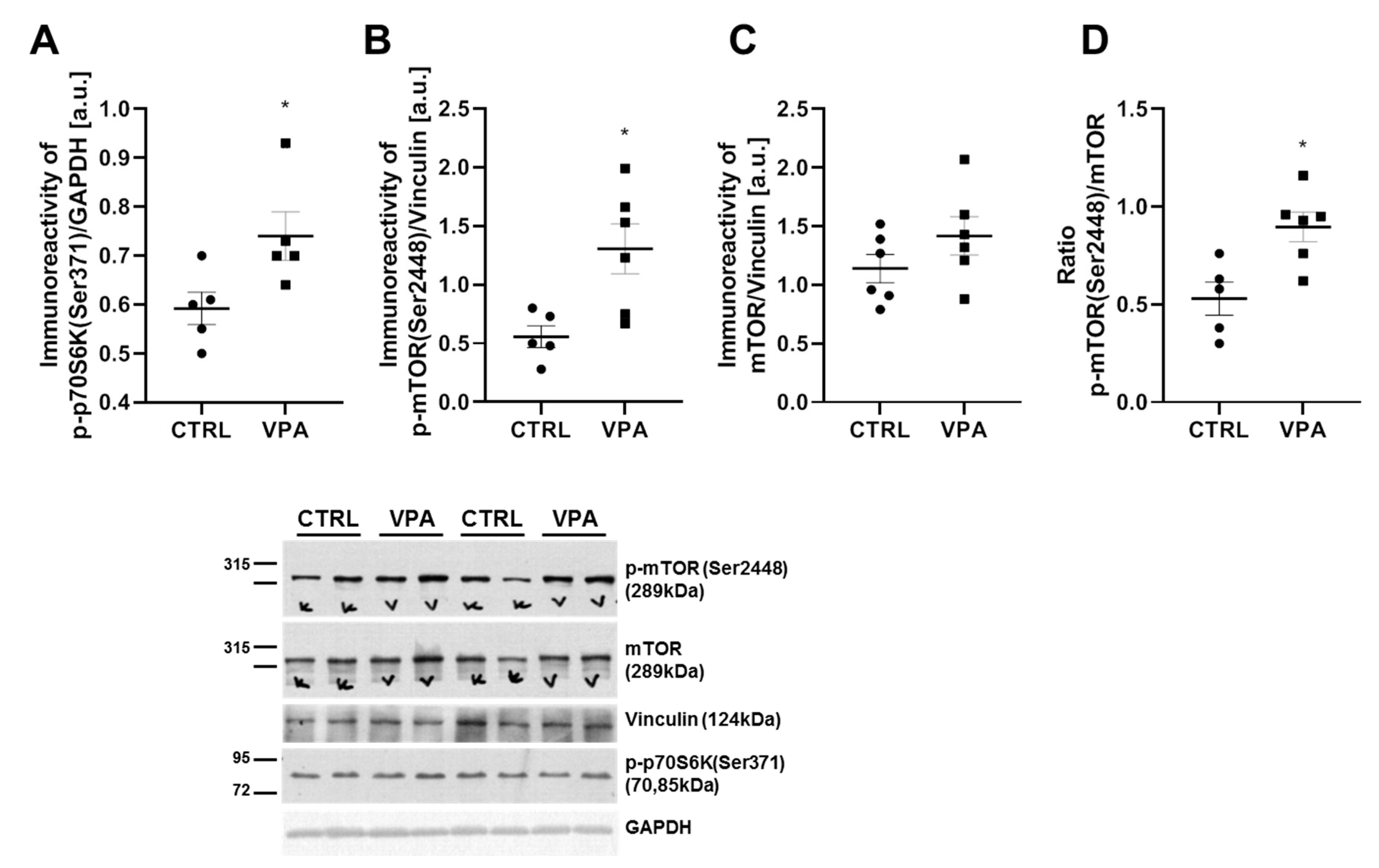 Biomedicines 10 03031 g007