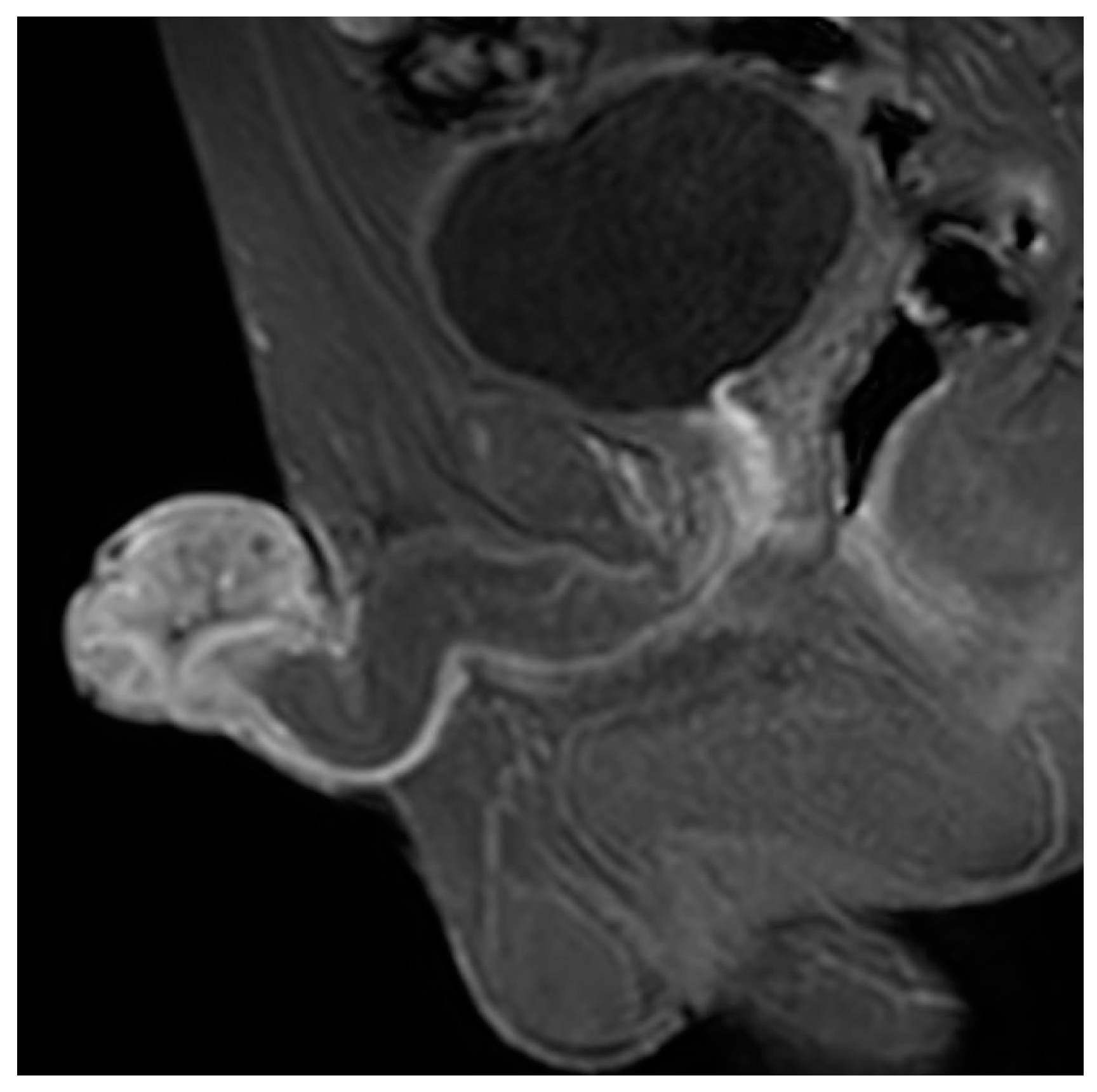 Biomedicines 10 03033 g001 Biomedicines 10 03033 g001