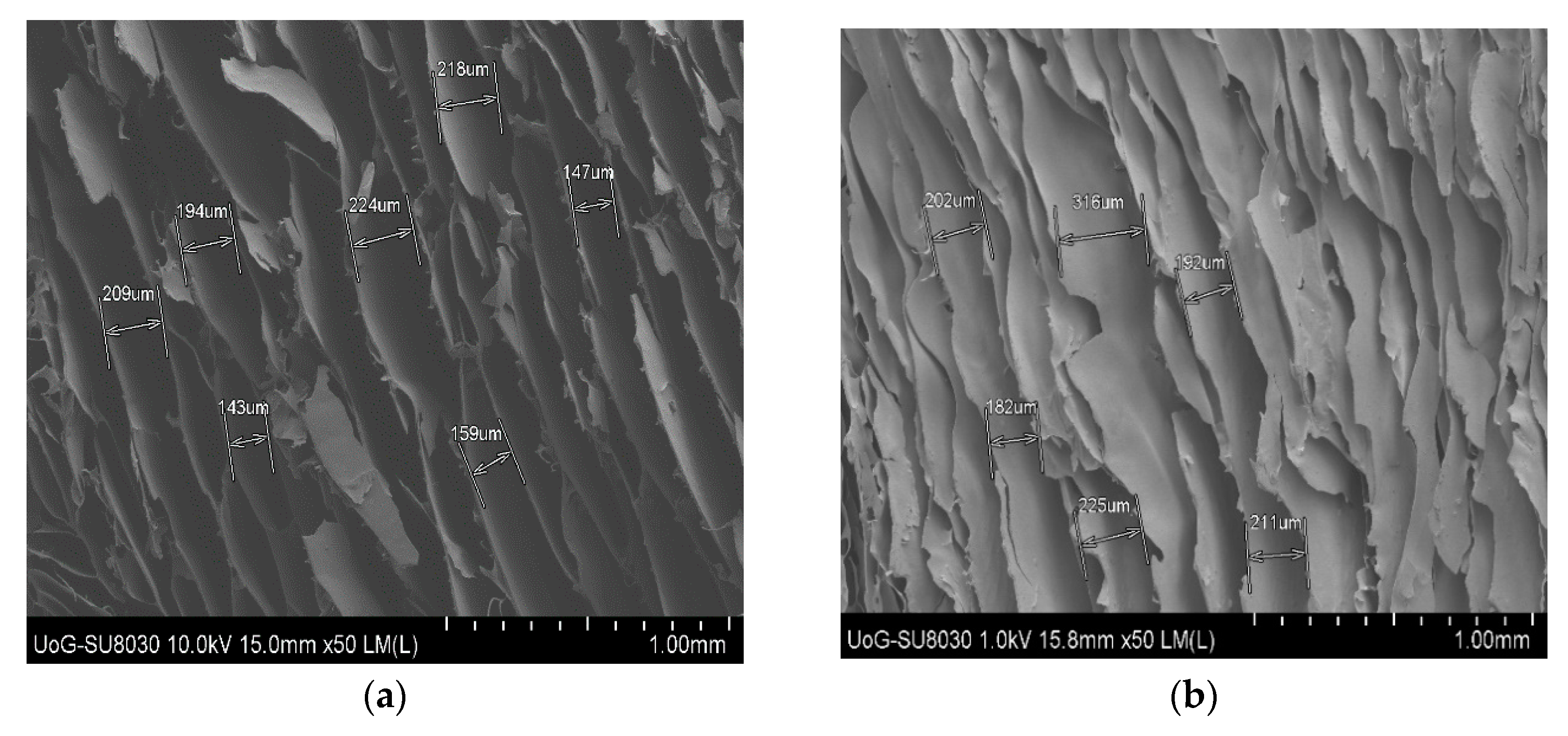 Biomedicines 10 03036 g004a