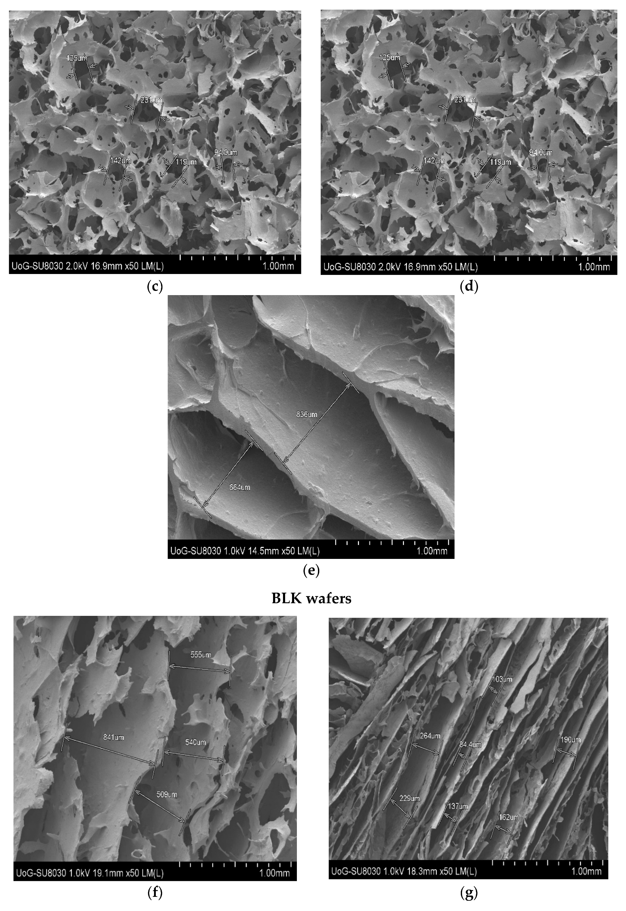 Biomedicines 10 03036 g004b