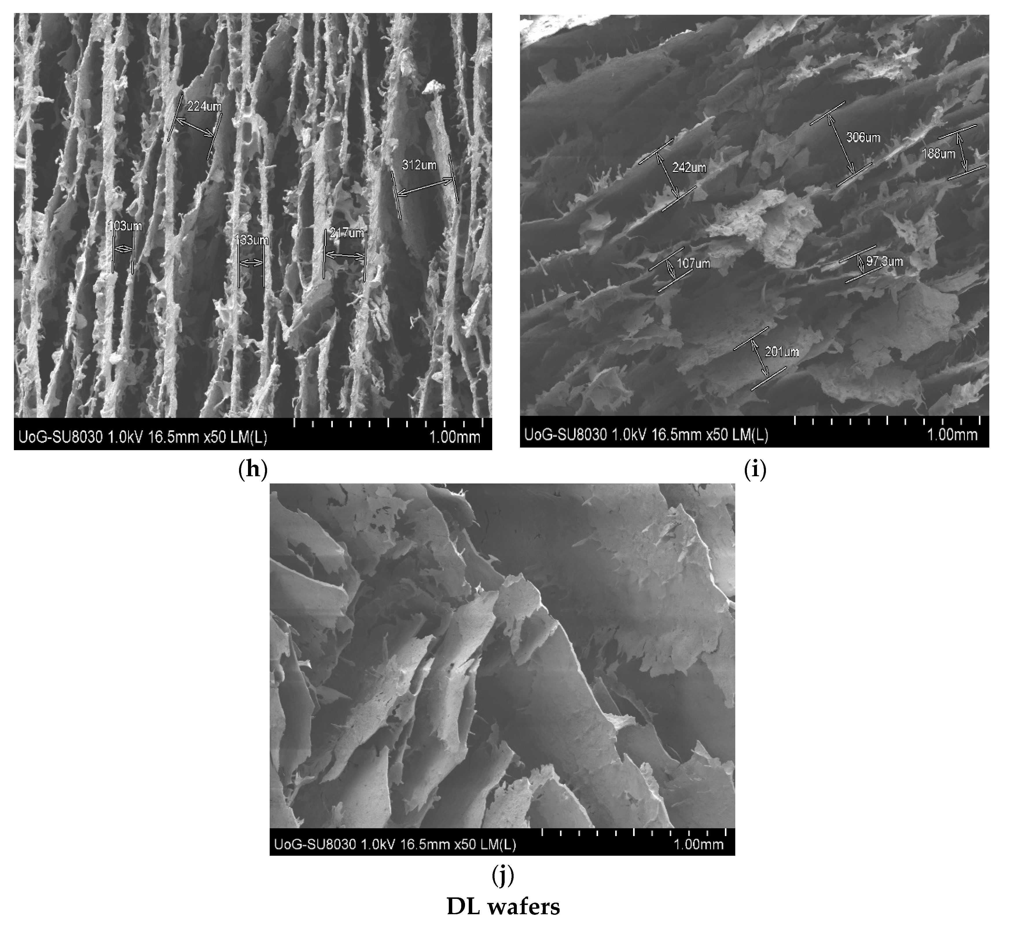 Biomedicines 10 03036 g004c