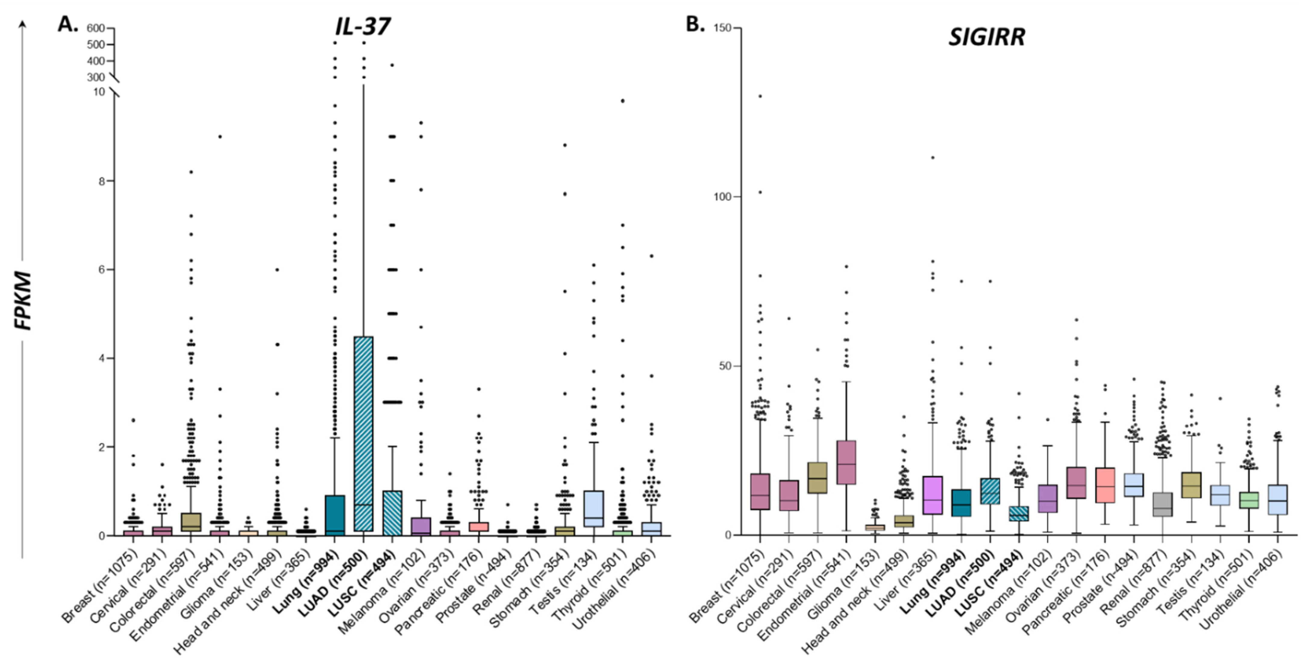 Biomedicines 10 03037 g001 Biomedicines 10 03037 g001