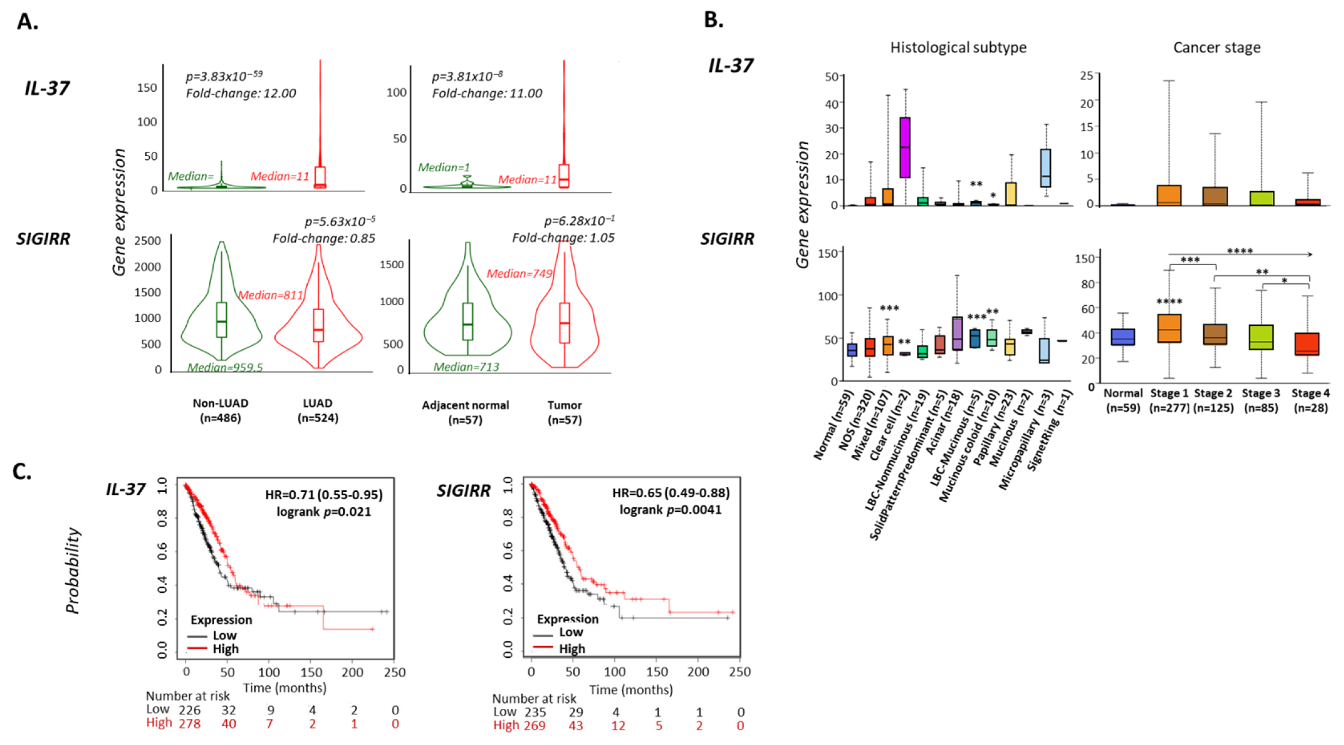 Biomedicines 10 03037 g002 Biomedicines 10 03037 g002