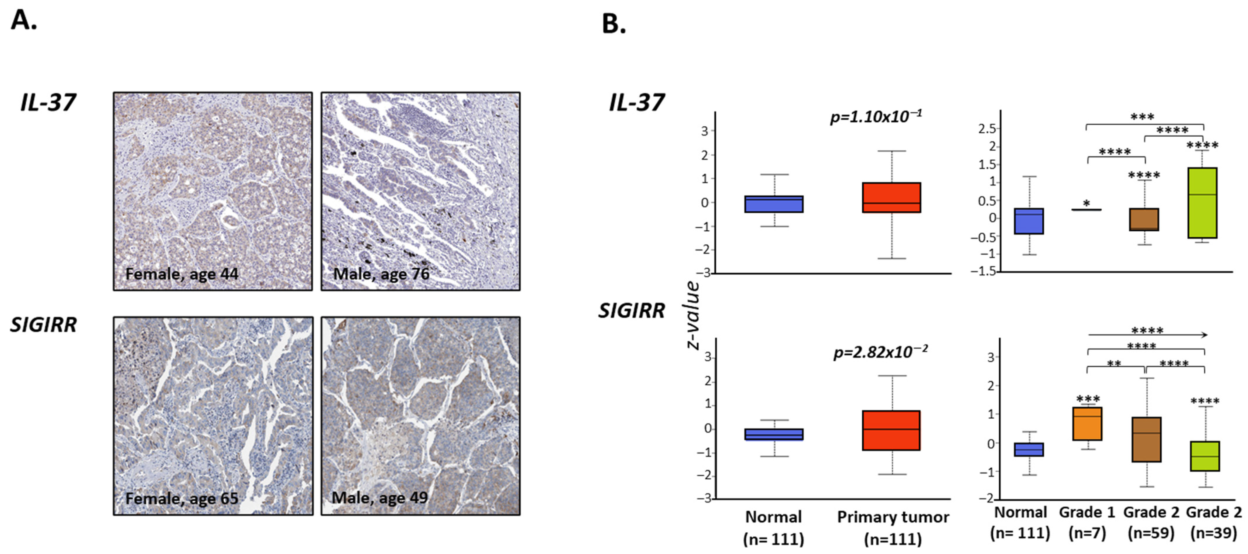 Biomedicines 10 03037 g004 Biomedicines 10 03037 g004