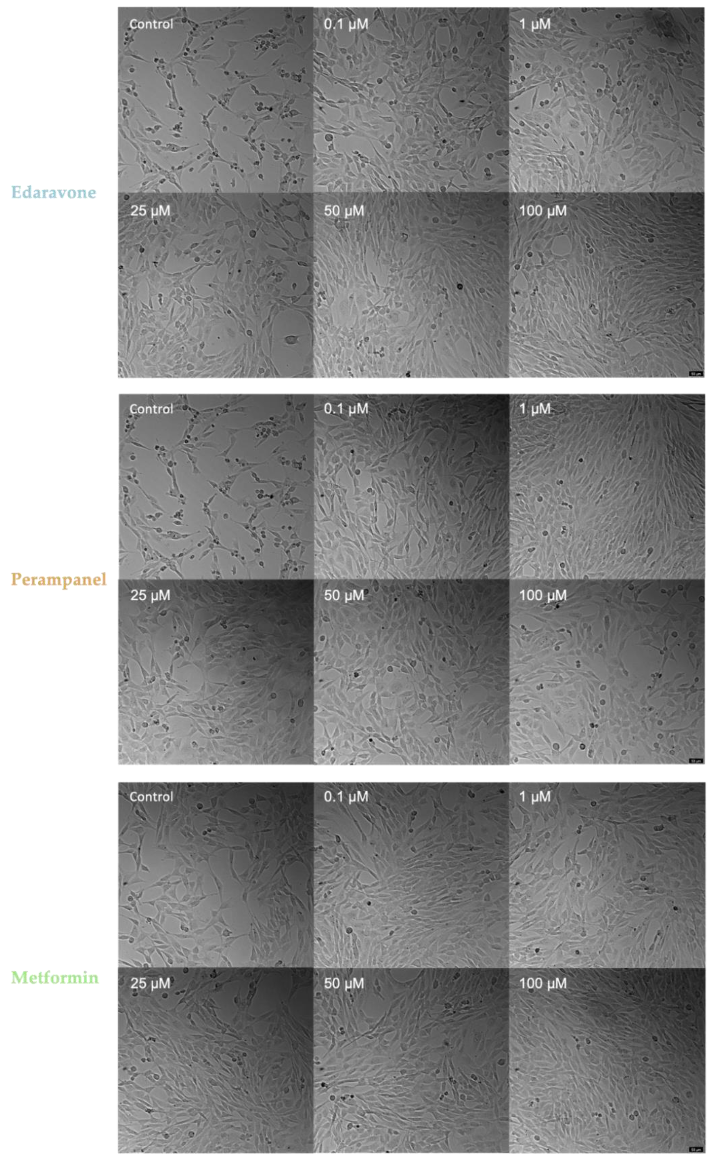 Biomedicines 10 03043 g009 Biomedicines 10 03043 g009