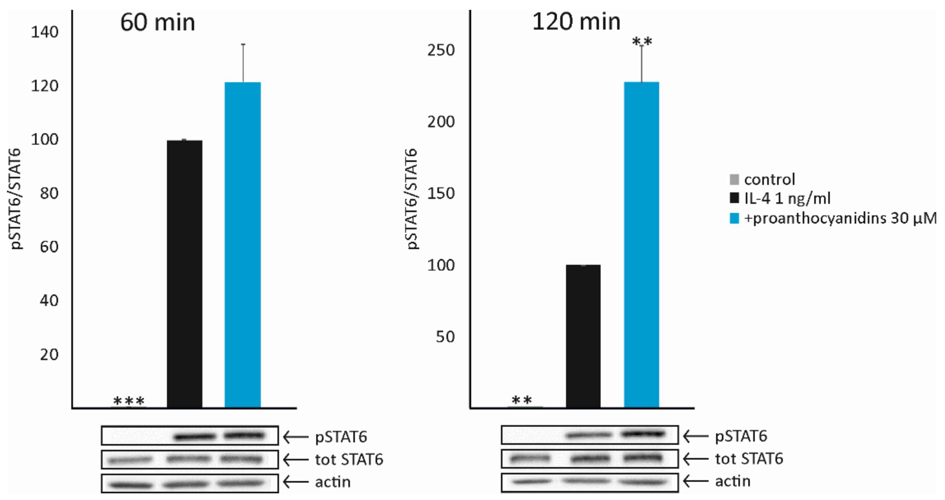 Biomedicines 10 03045 g004 Biomedicines 10 03045 g004
