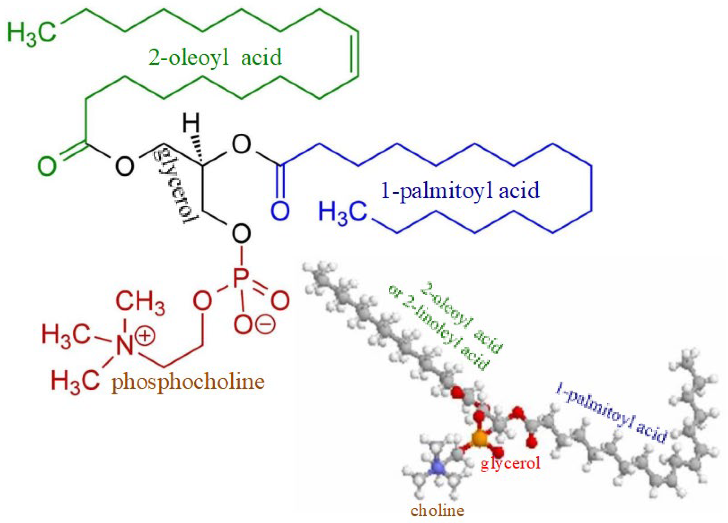 Biomedicines 10 03046 g003 Biomedicines 10 03046 g003