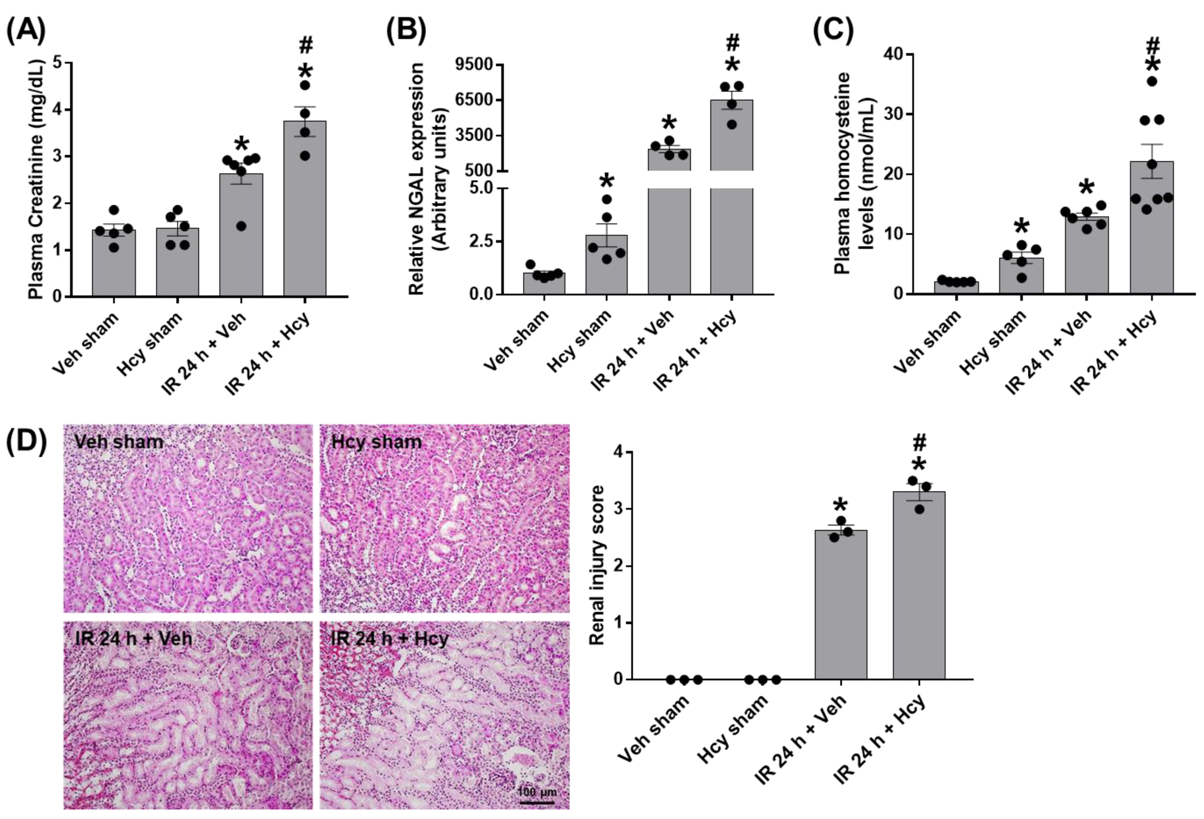 Biomedicines 10 03048 g001