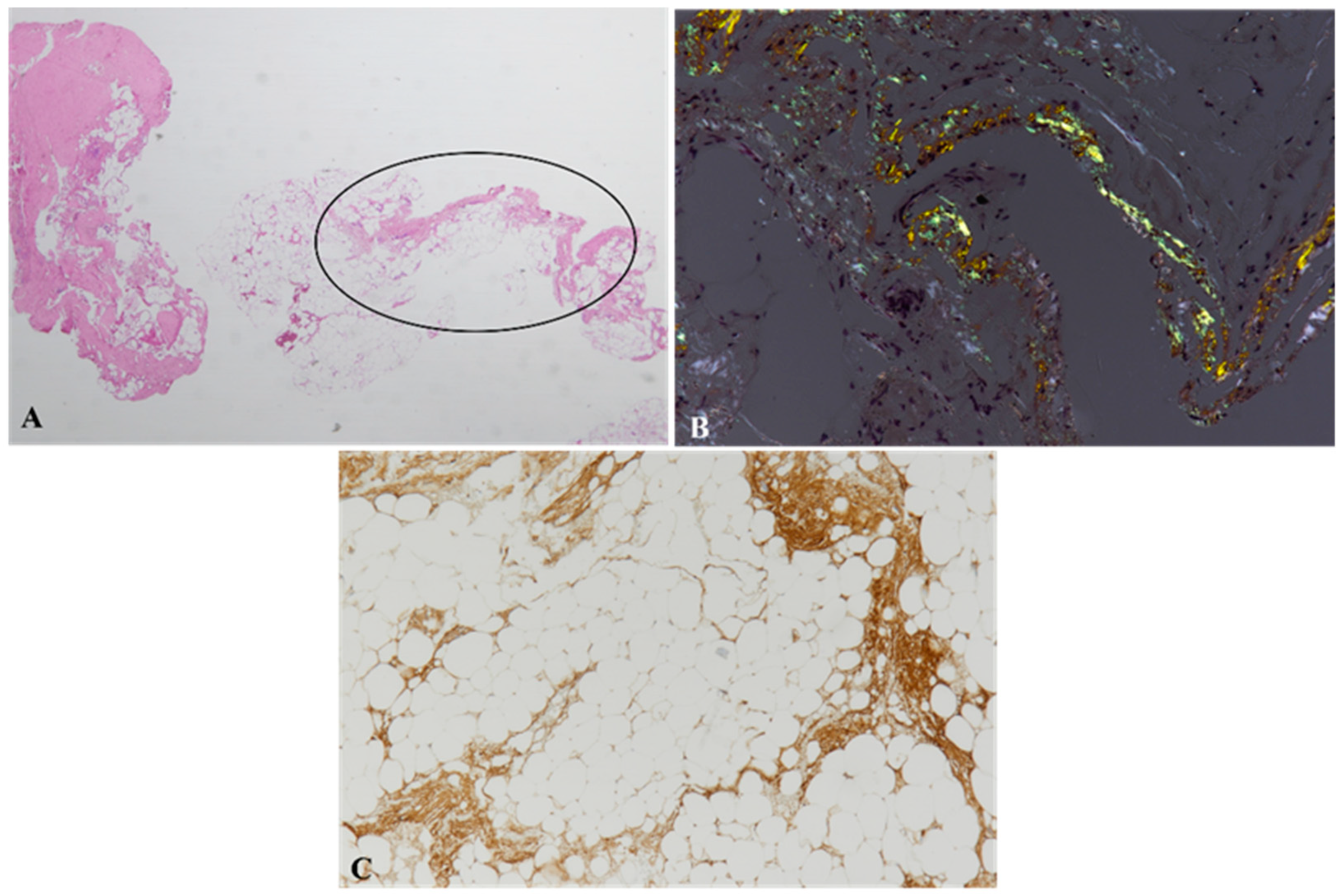 Biomedicines 10 03054 g002 Biomedicines 10 03054 g002