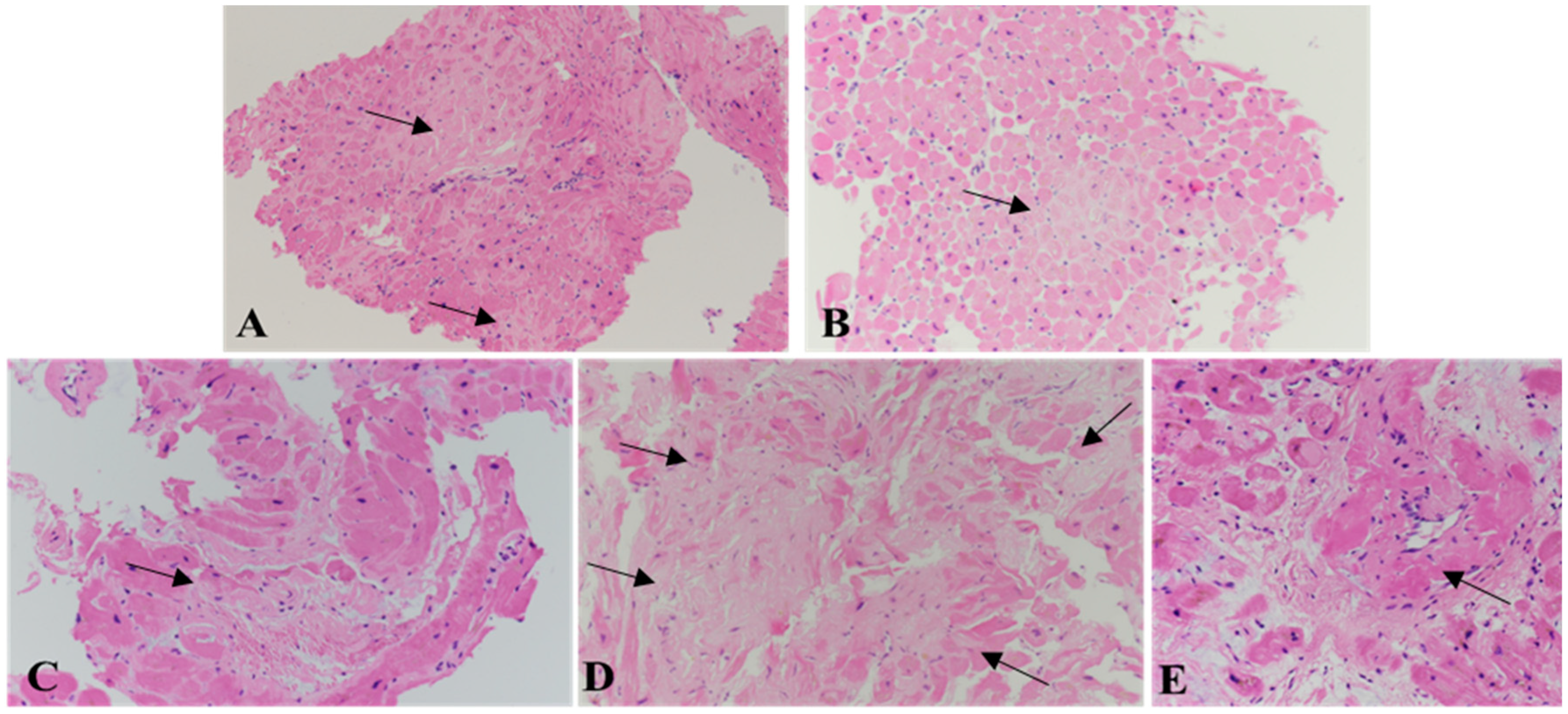 Biomedicines 10 03054 g003 Biomedicines 10 03054 g003