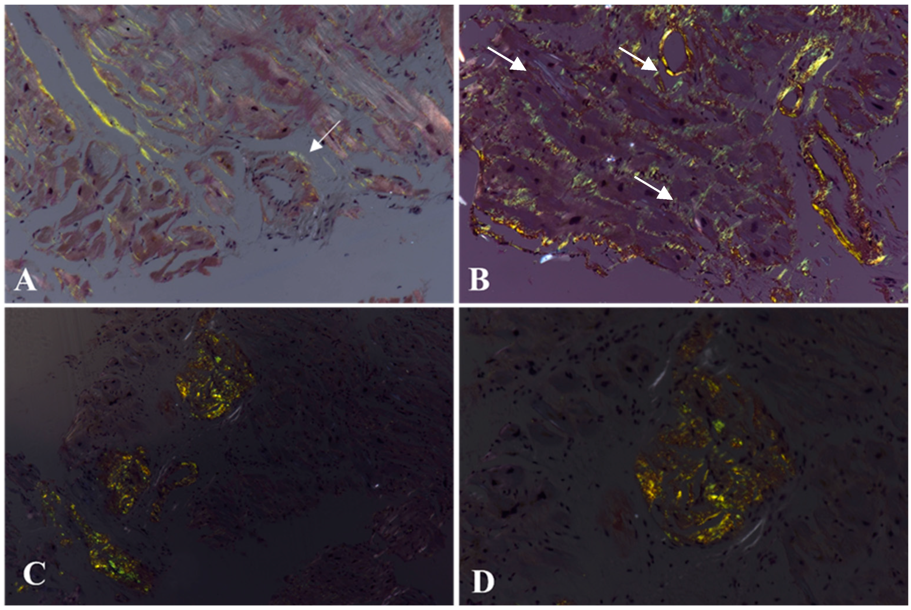 Biomedicines 10 03054 g005 Biomedicines 10 03054 g005