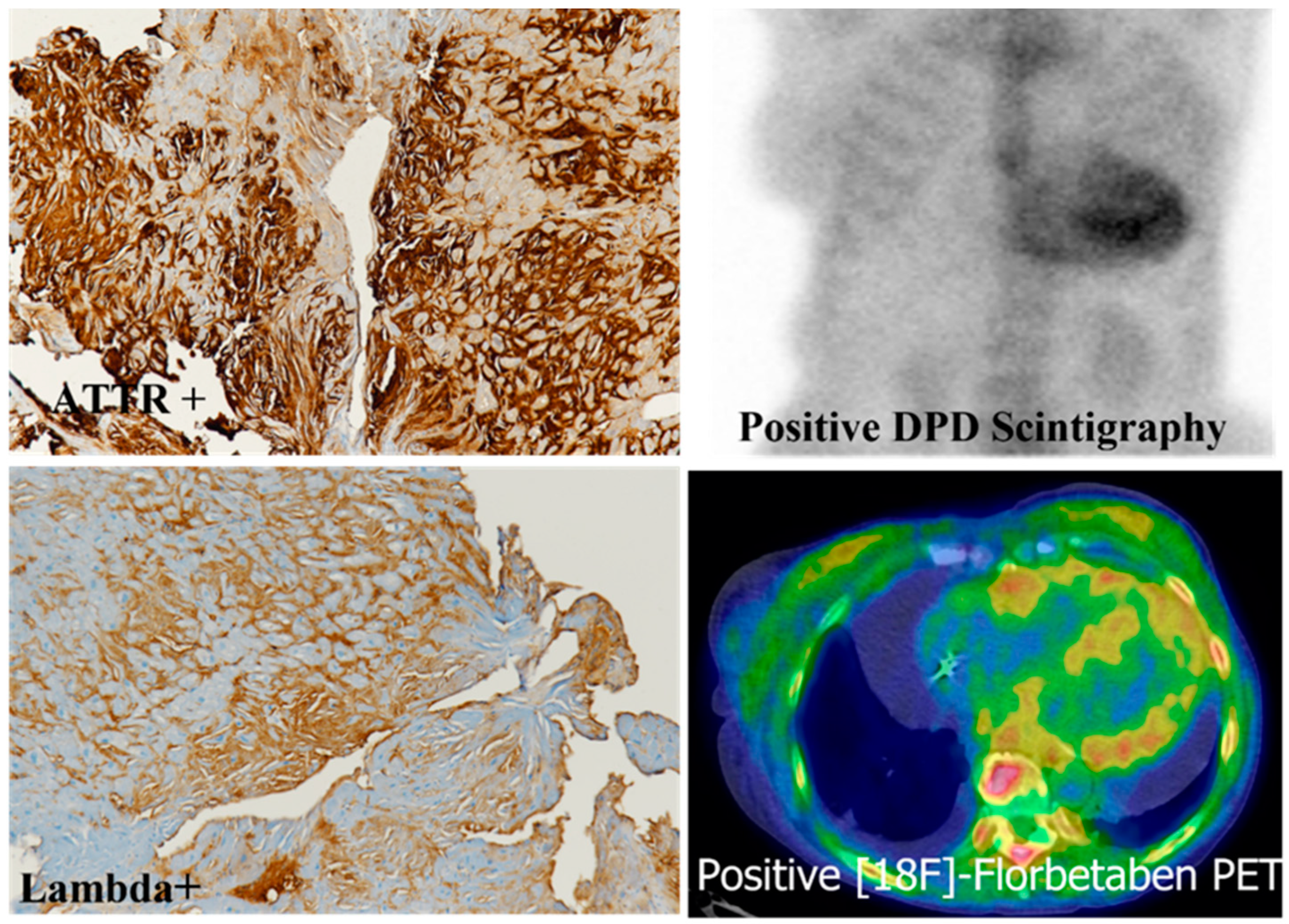 Biomedicines 10 03054 g008 Biomedicines 10 03054 g008